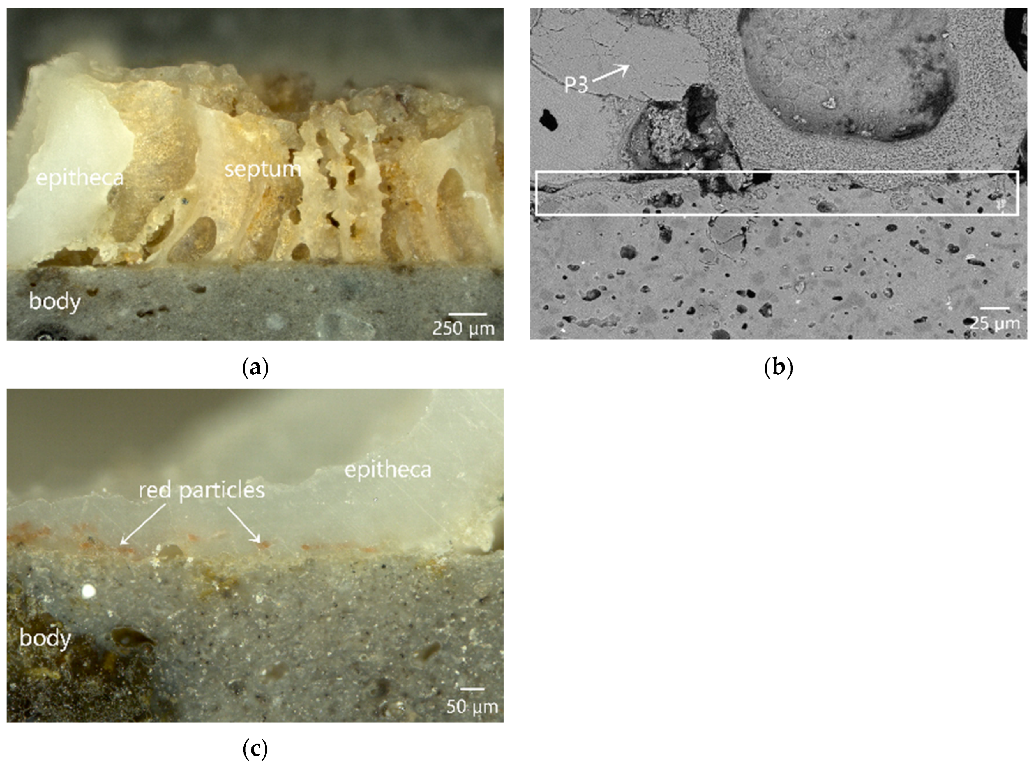 Applsci 14 08596 g005