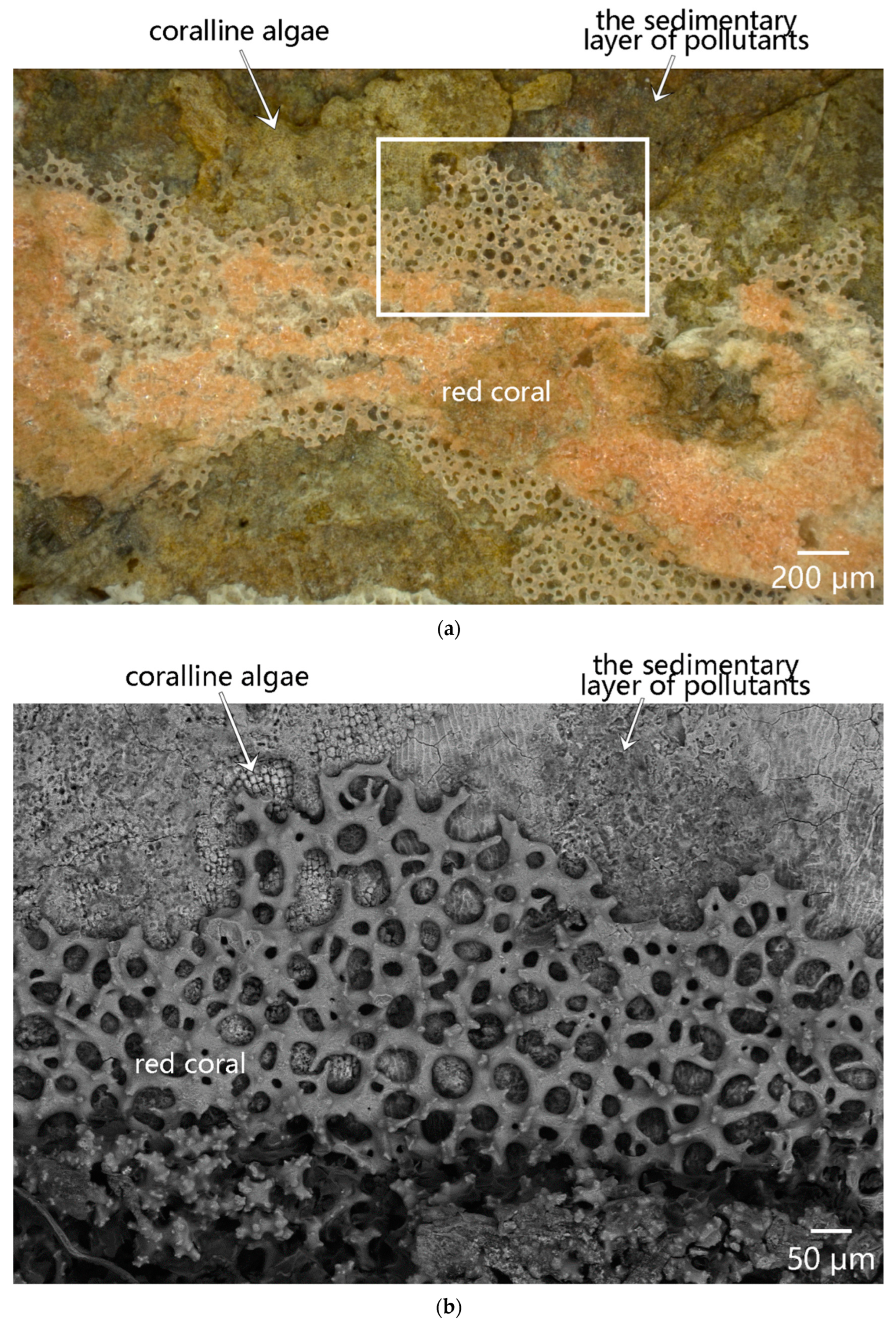 Applsci 14 08596 g010