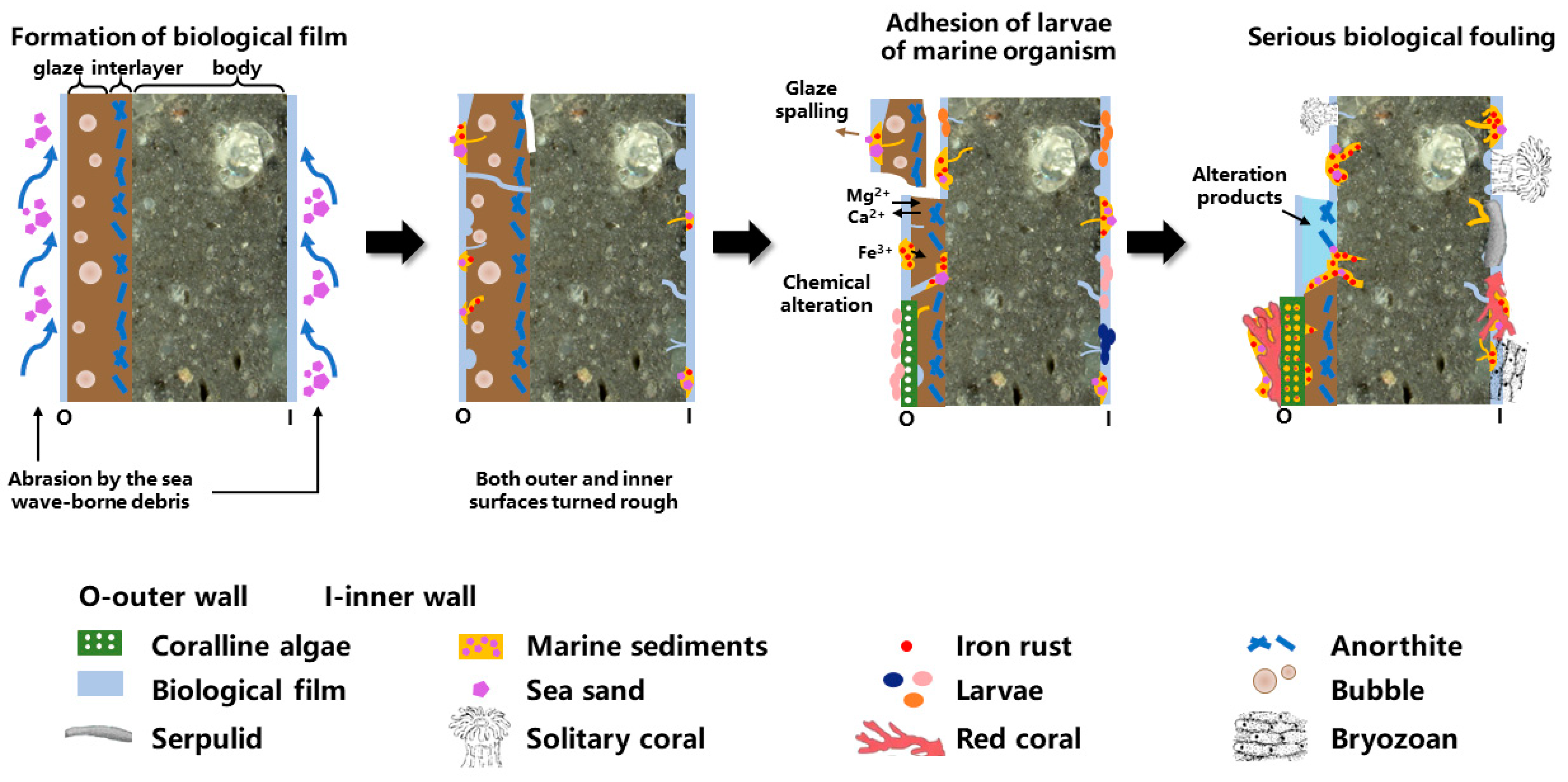 Applsci 14 08596 g012