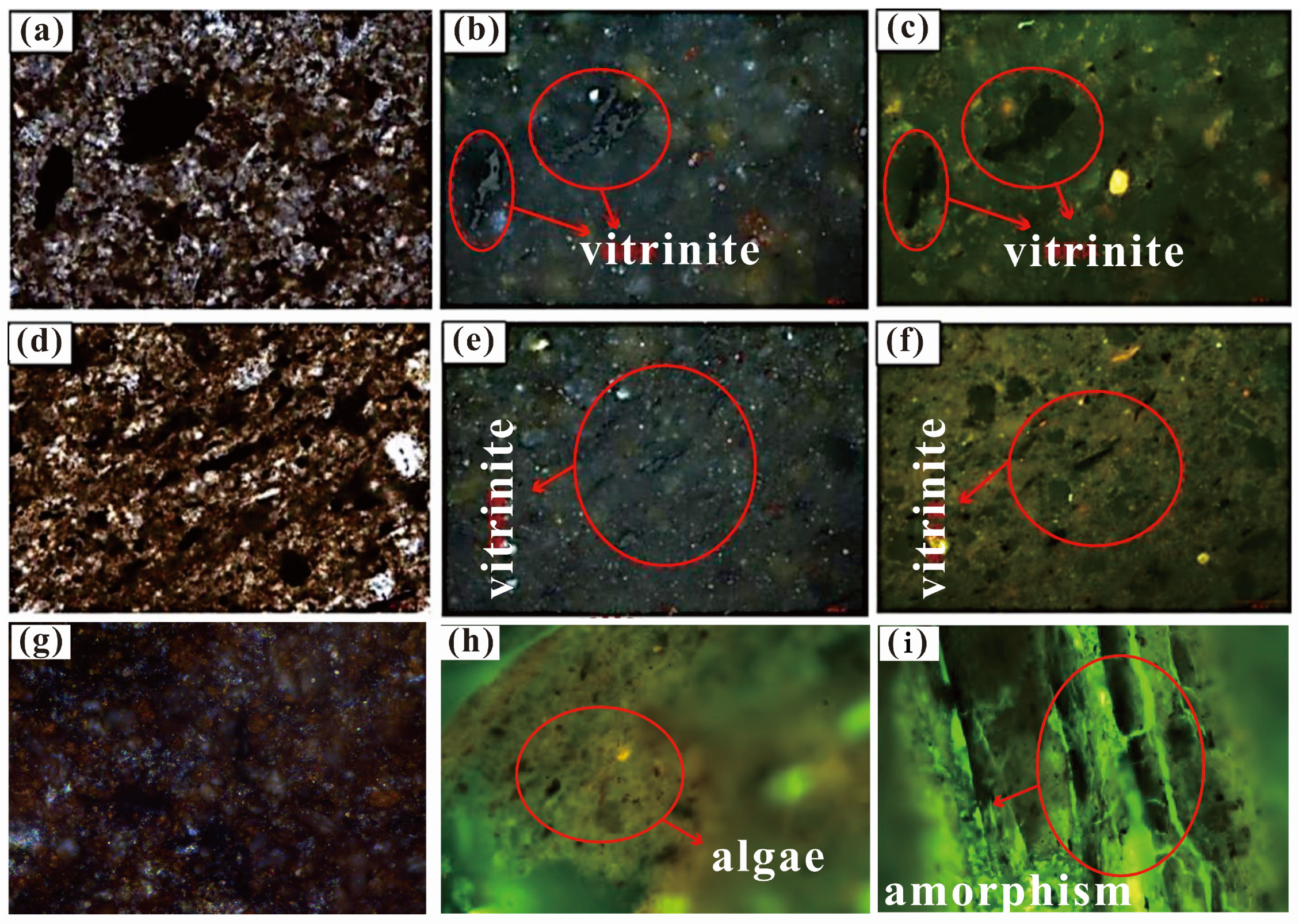 Applsci 14 08634 g012