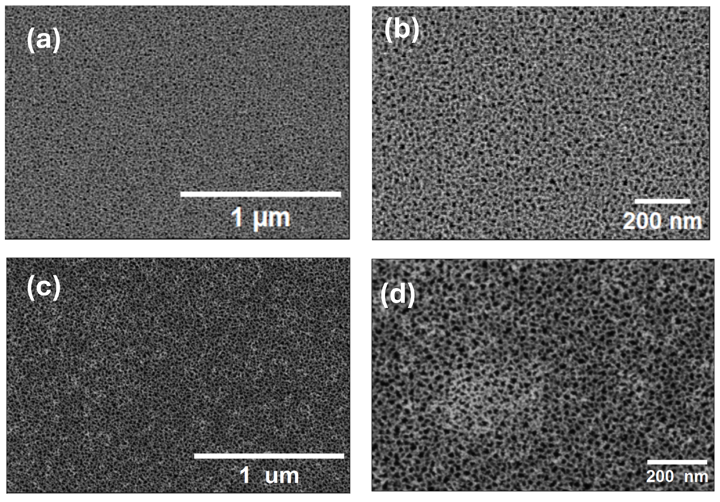 Applsci 14 08635 g002