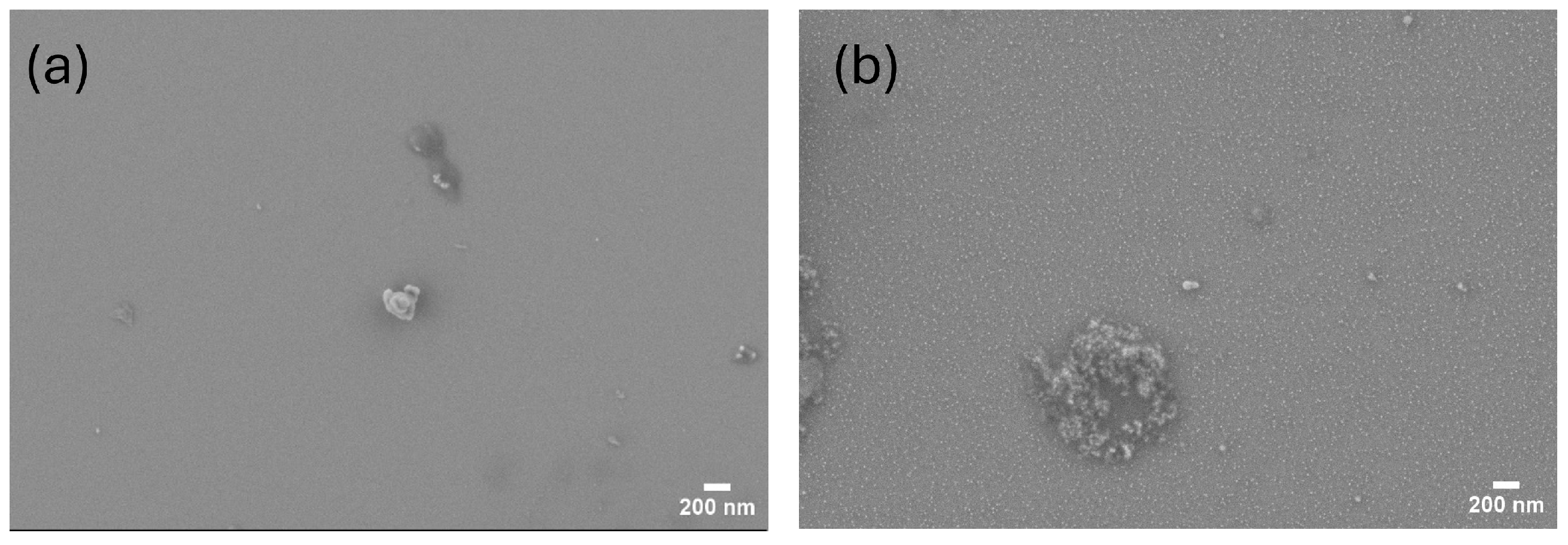 Applsci 14 08635 g006