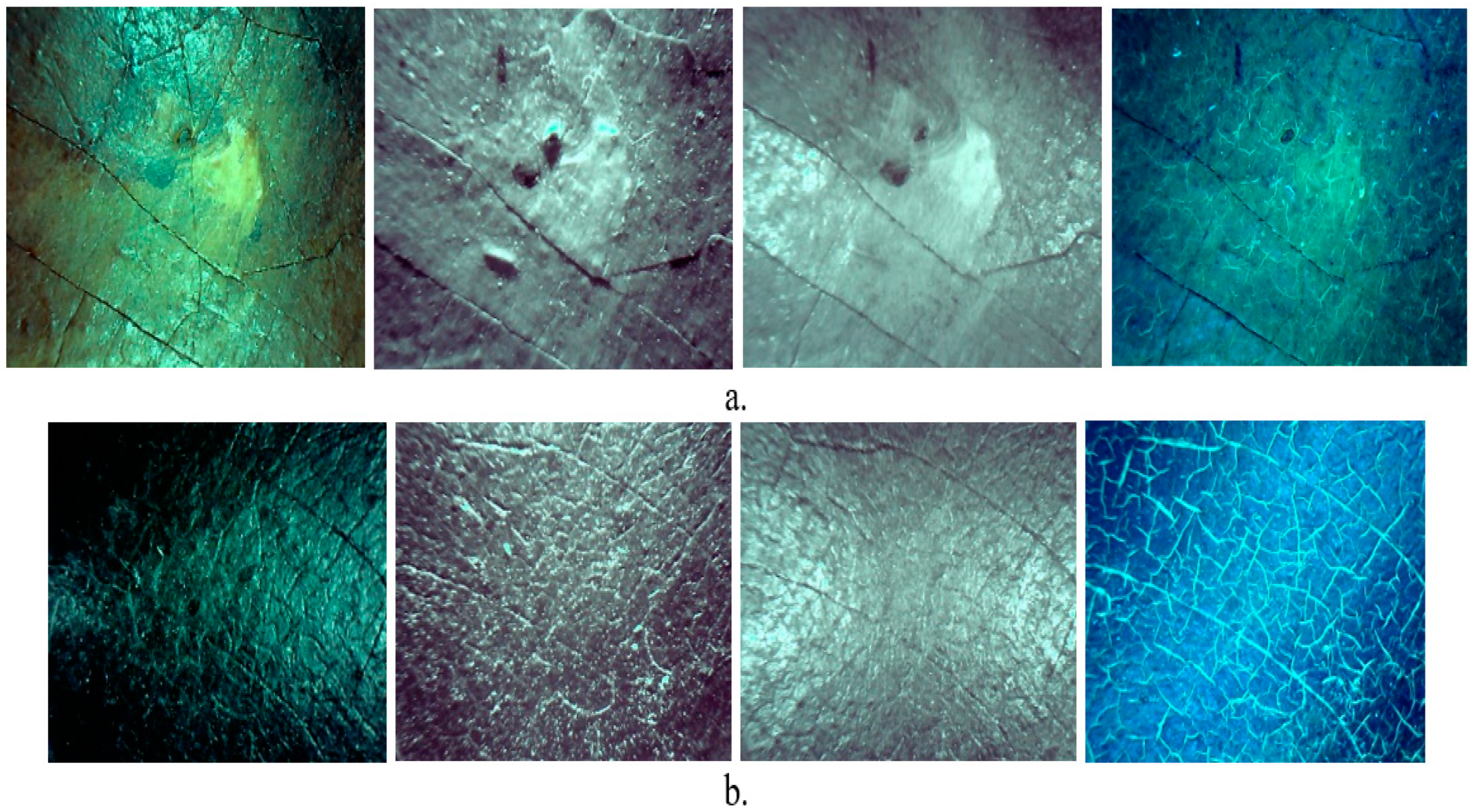 Applsci 14 08655 g013 Applsci 14 08655 g013