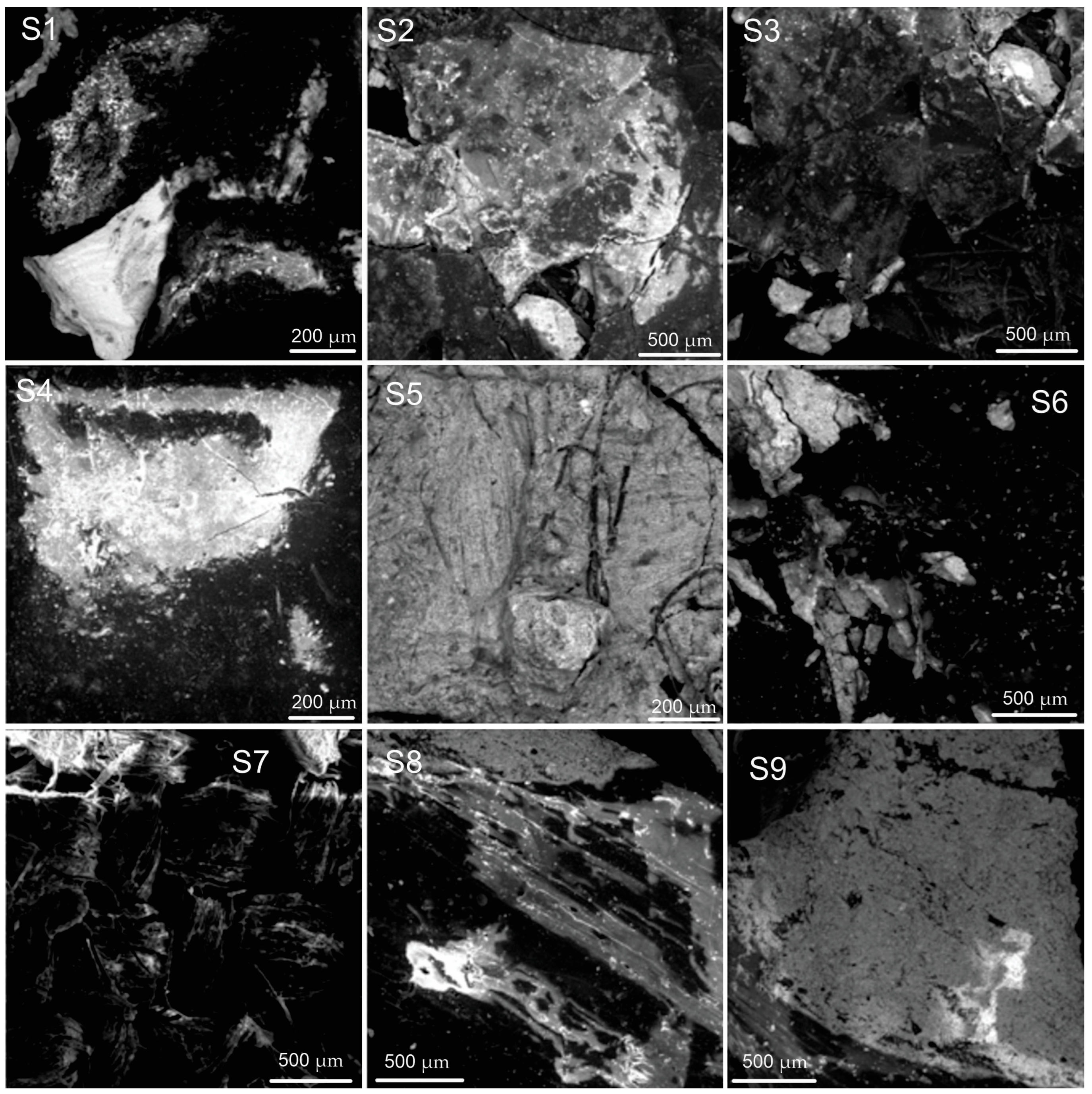 Applsci 14 08655 g018 Applsci 14 08655 g018