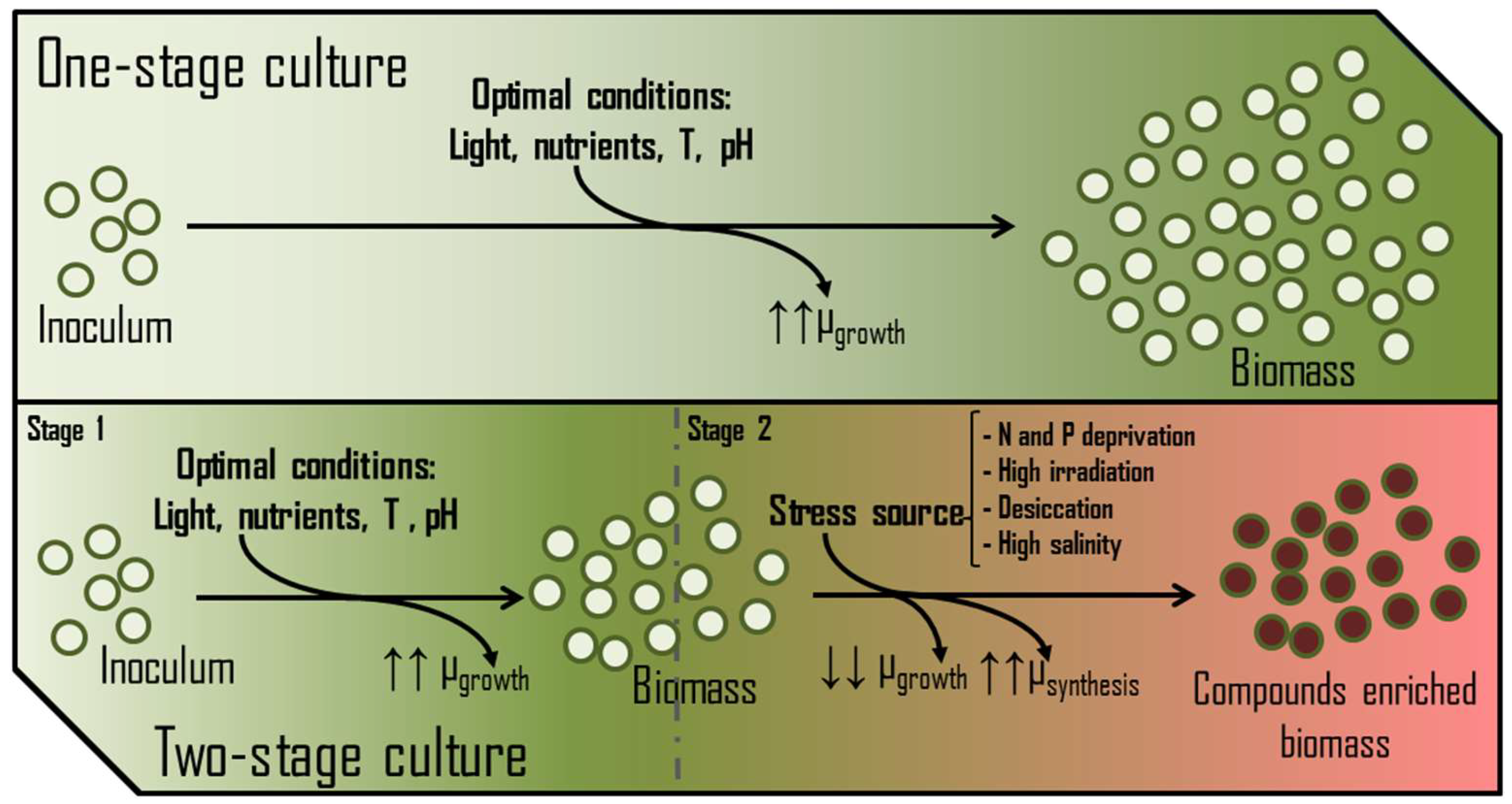 Applsci 14 08657 g007 Applsci 14 08657 g007