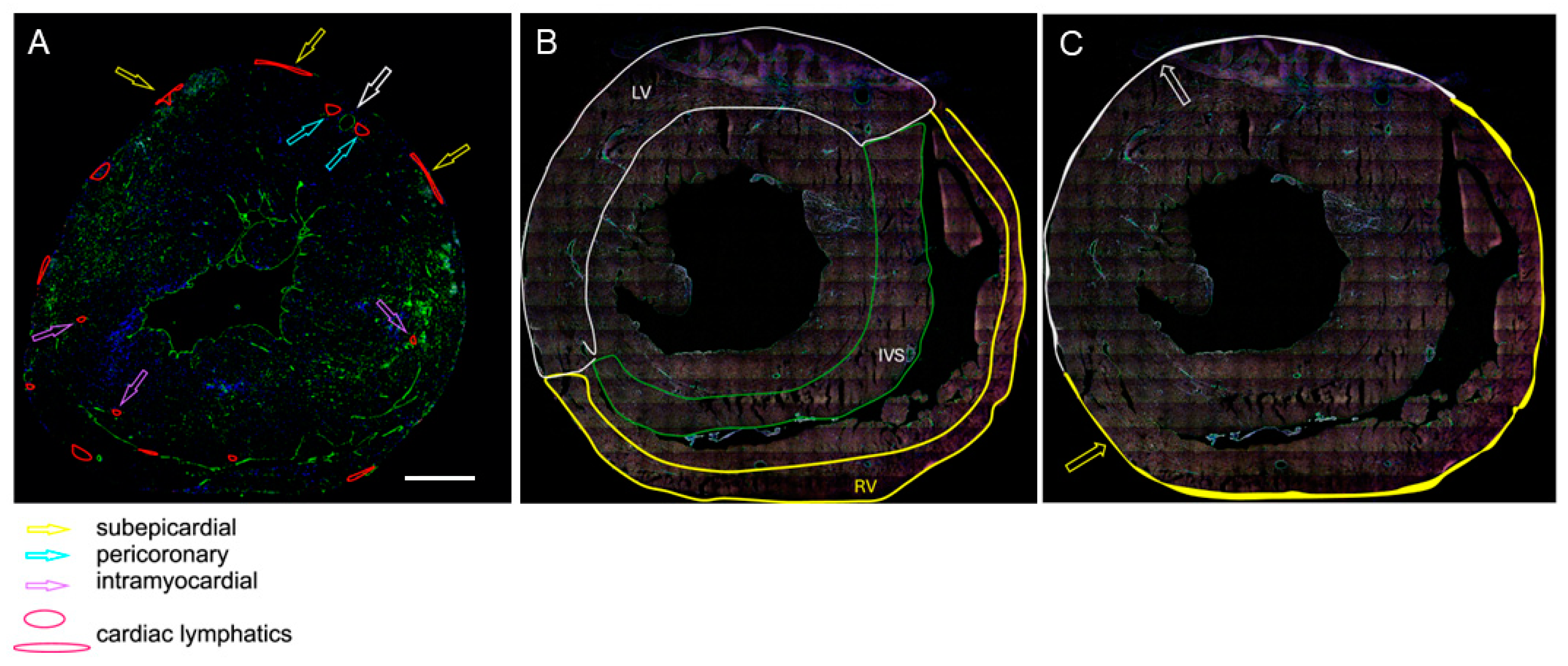 Applsci 14 08675 g001