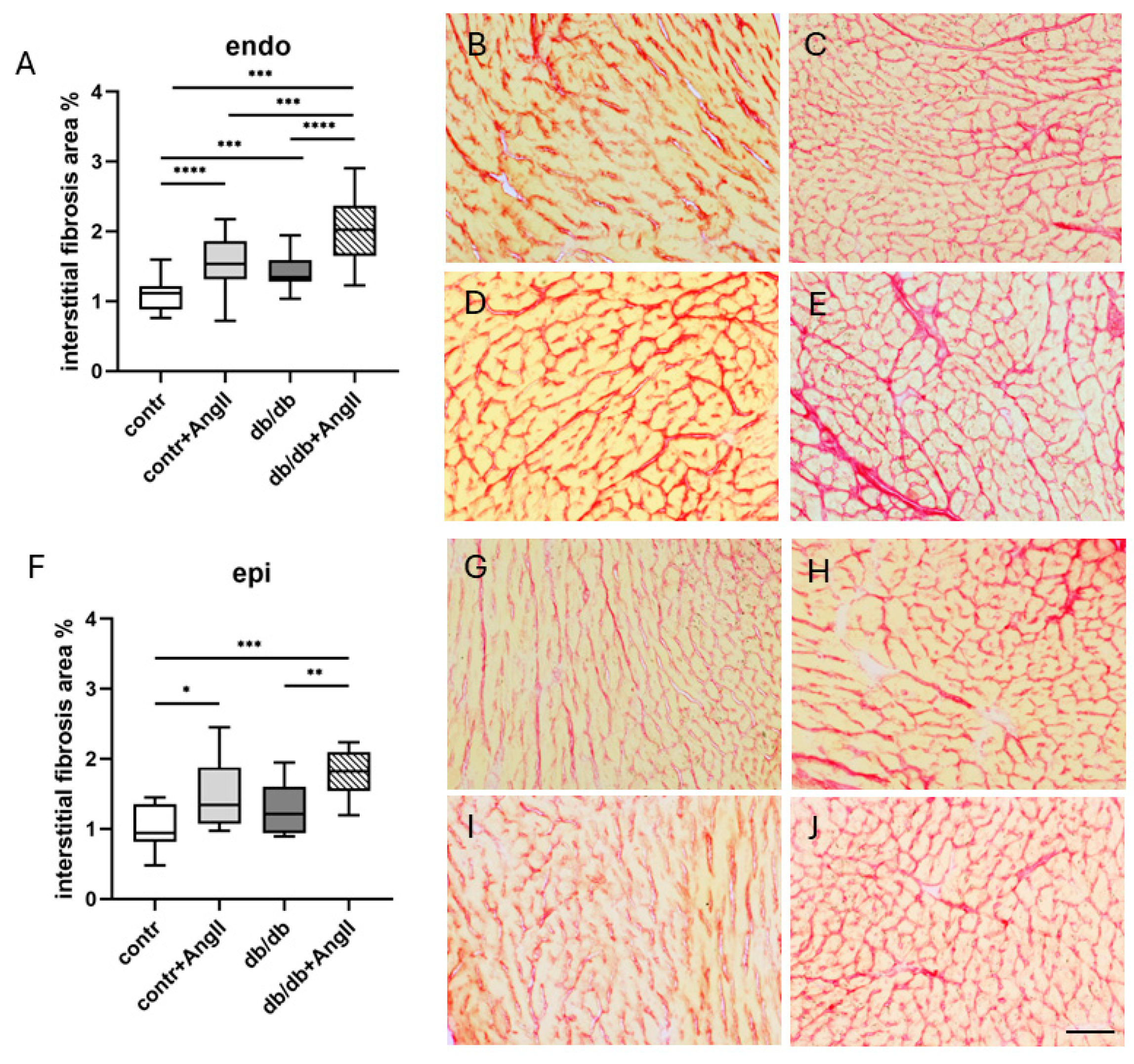 Applsci 14 08675 g006