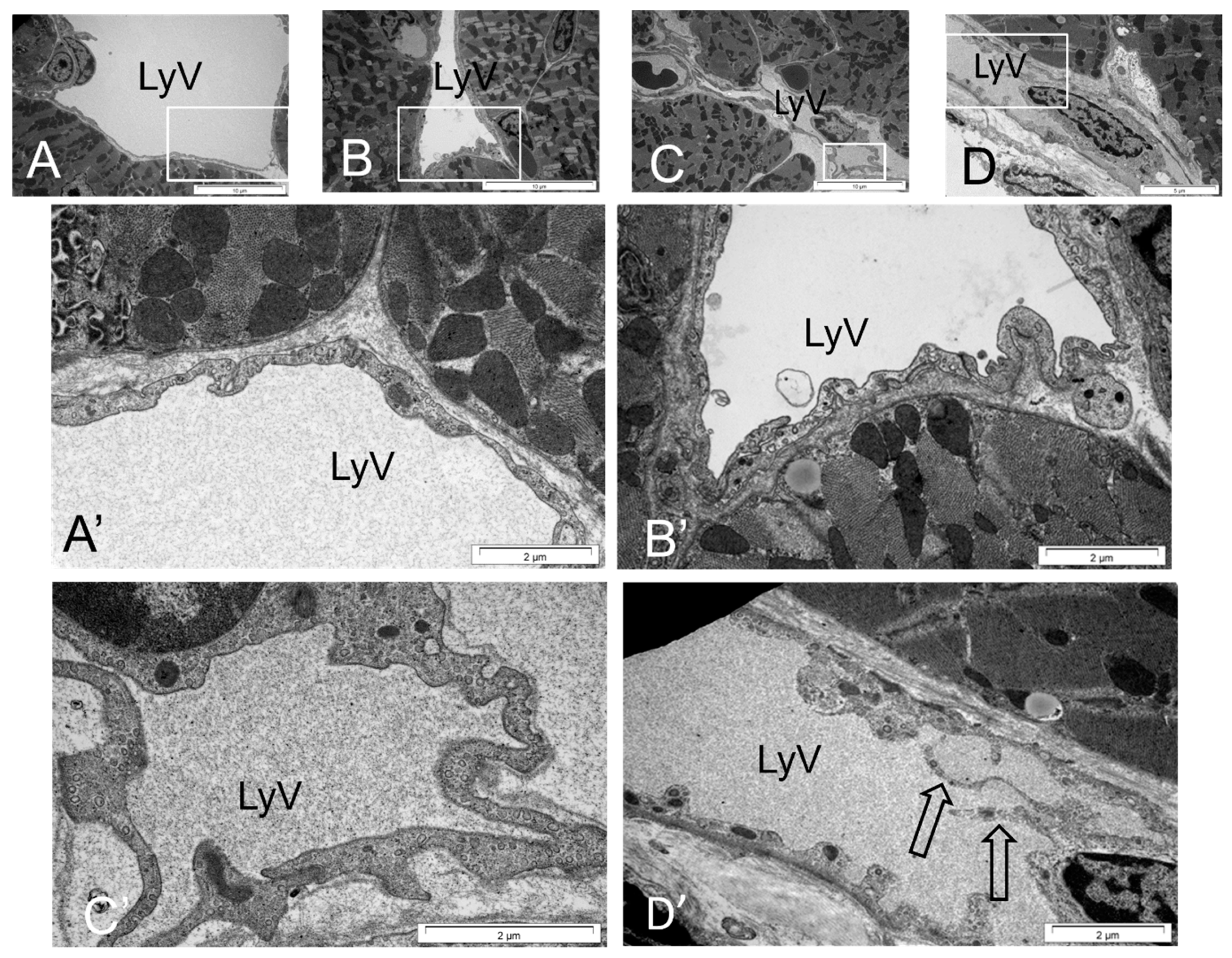 Applsci 14 08675 g009