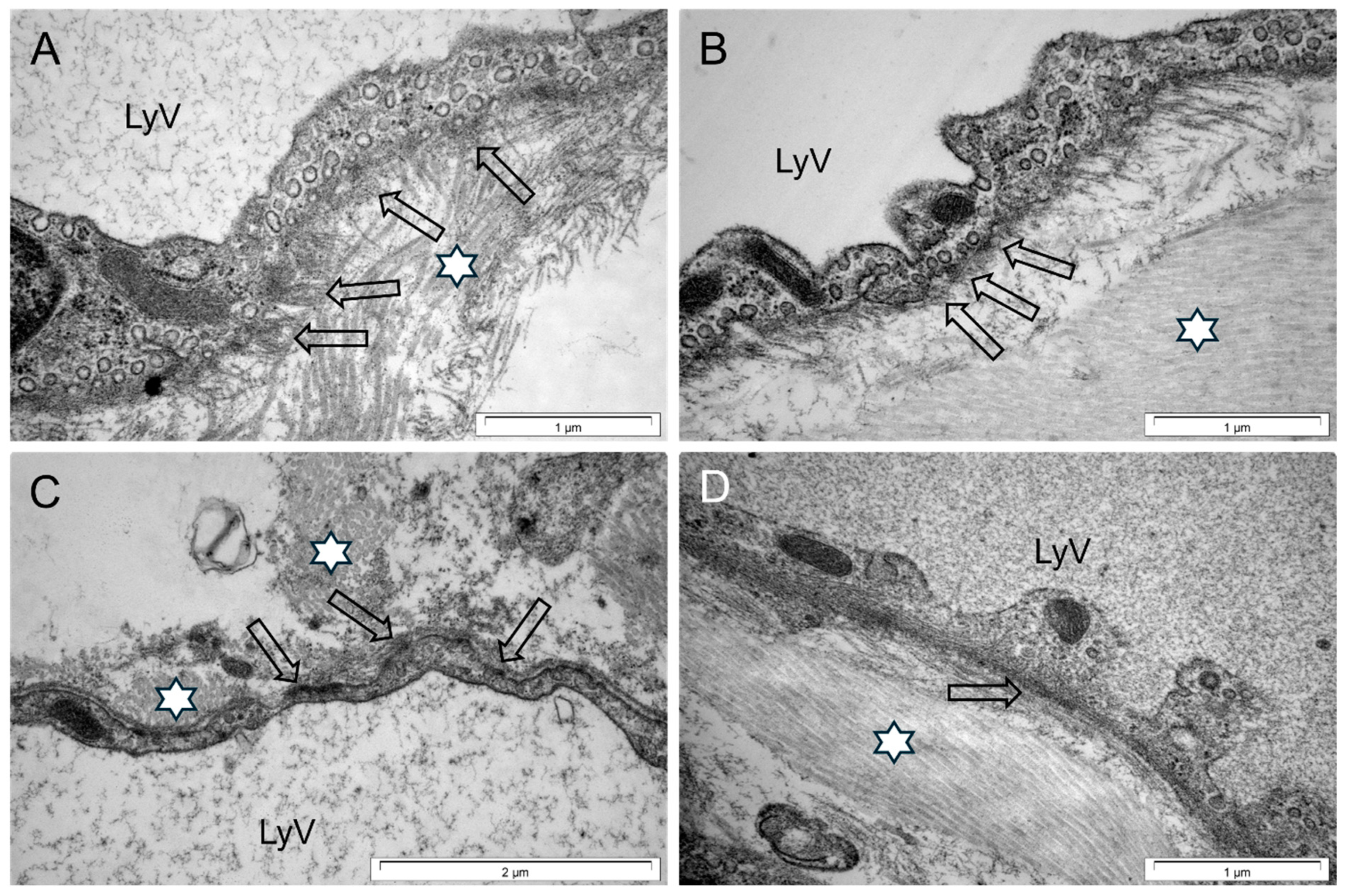 Applsci 14 08675 g011