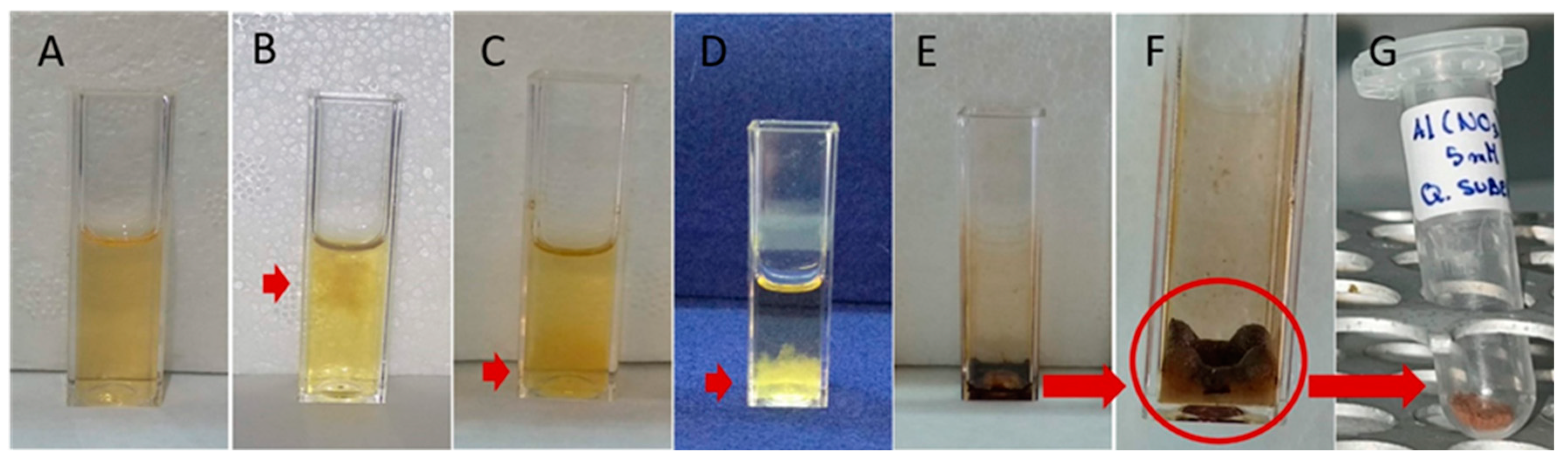 Applsci 14 08681 g002