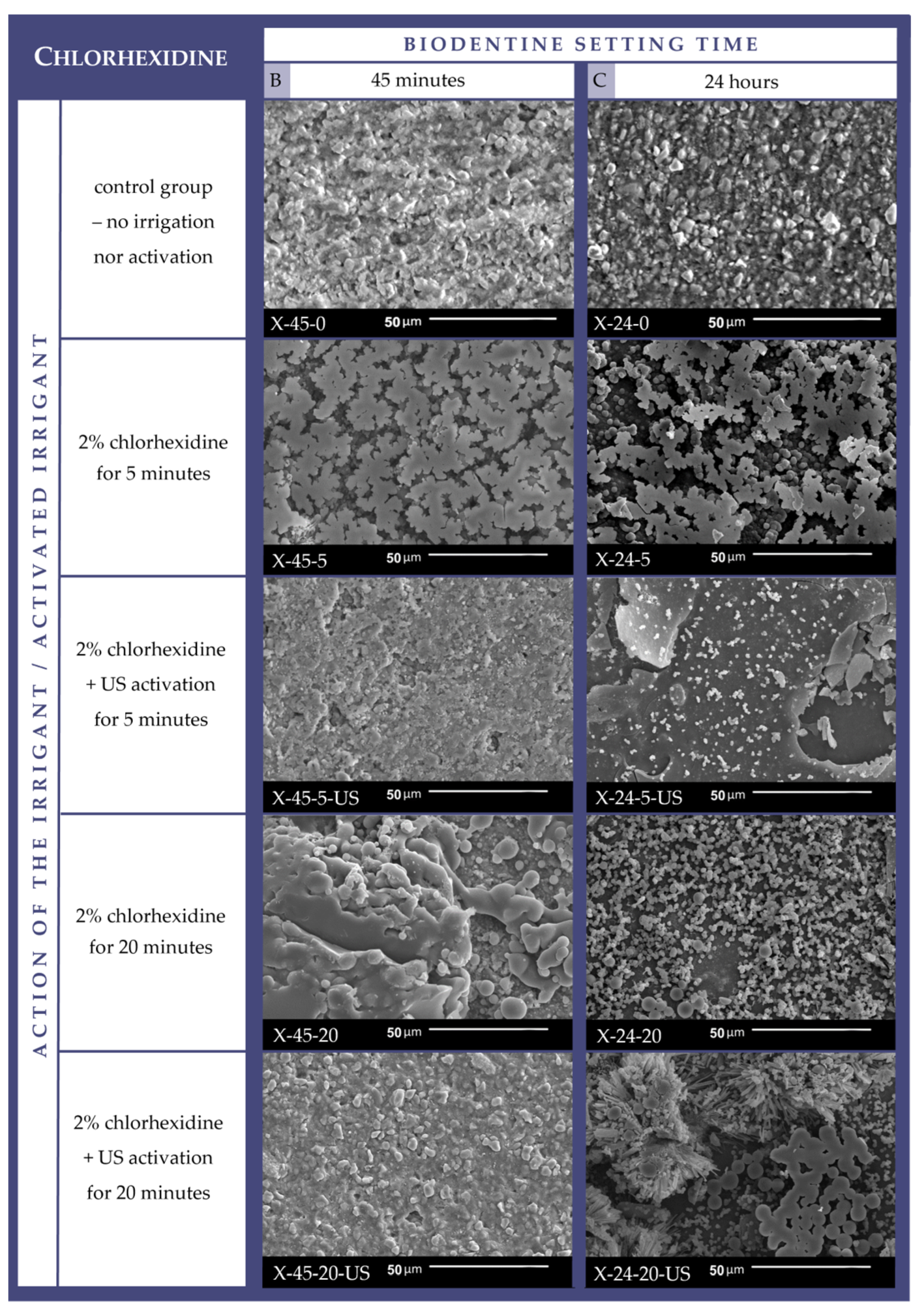 Applsci 14 08702 g002
