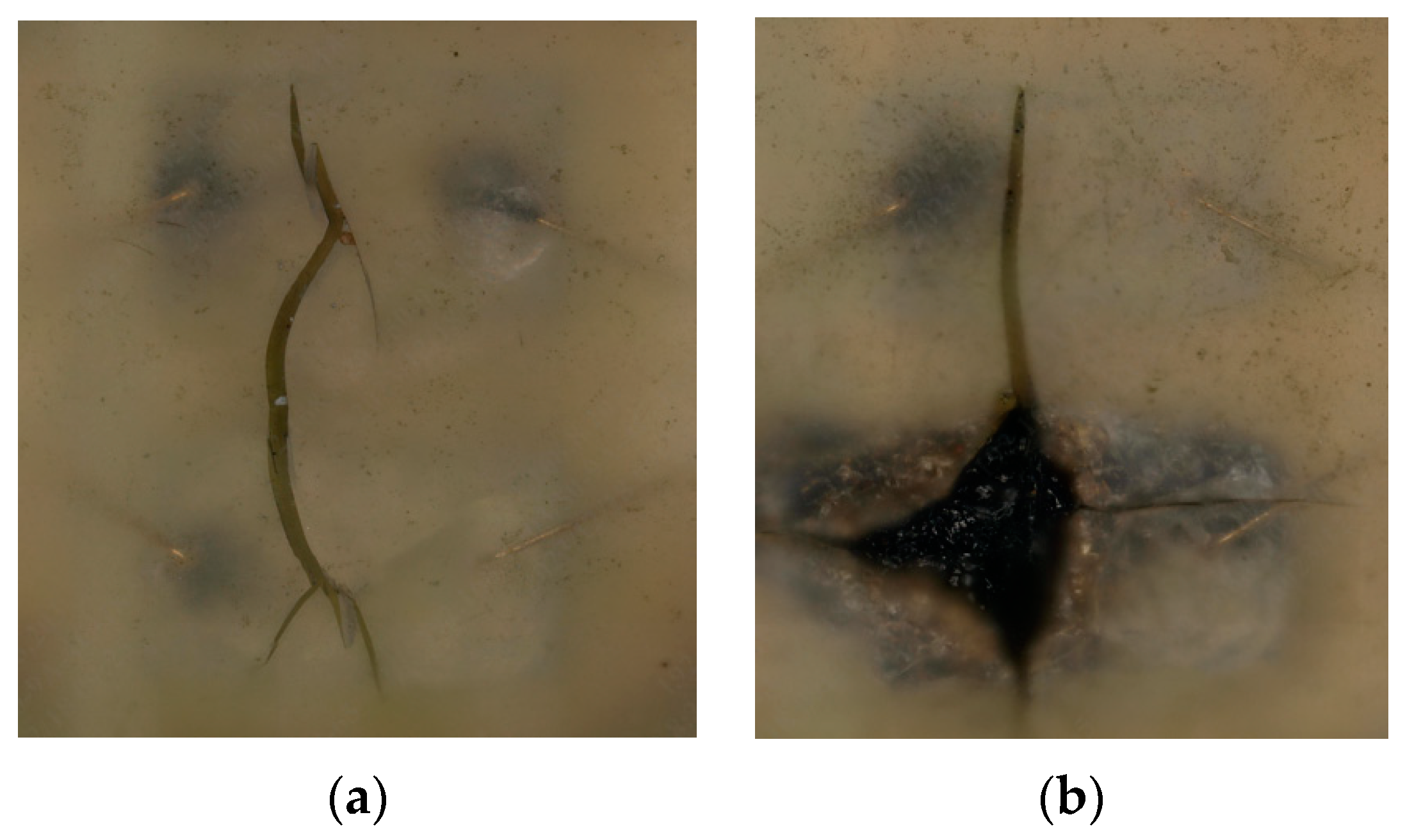 Applsci 14 08767 g001