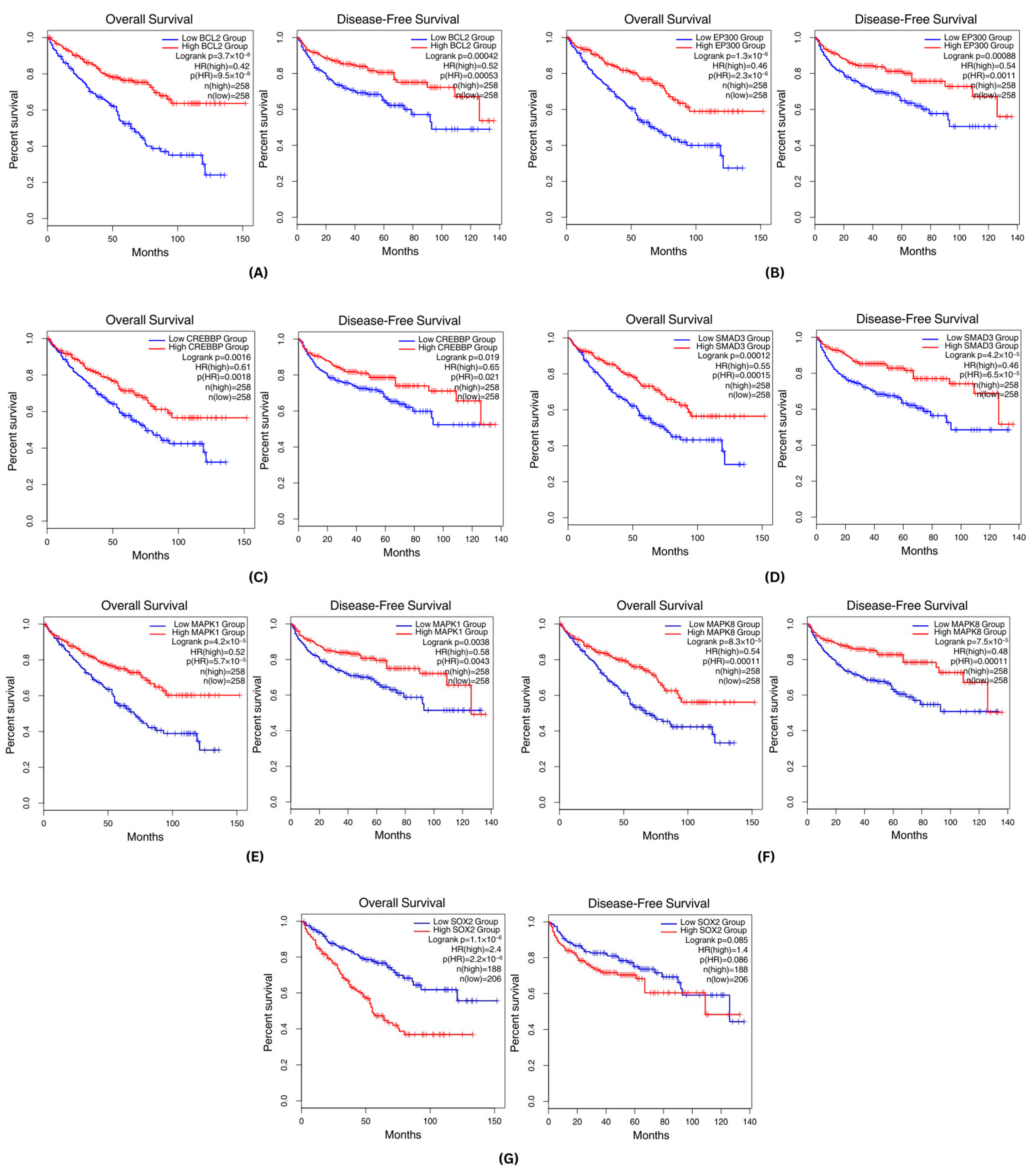 Applsci 14 08768 g008