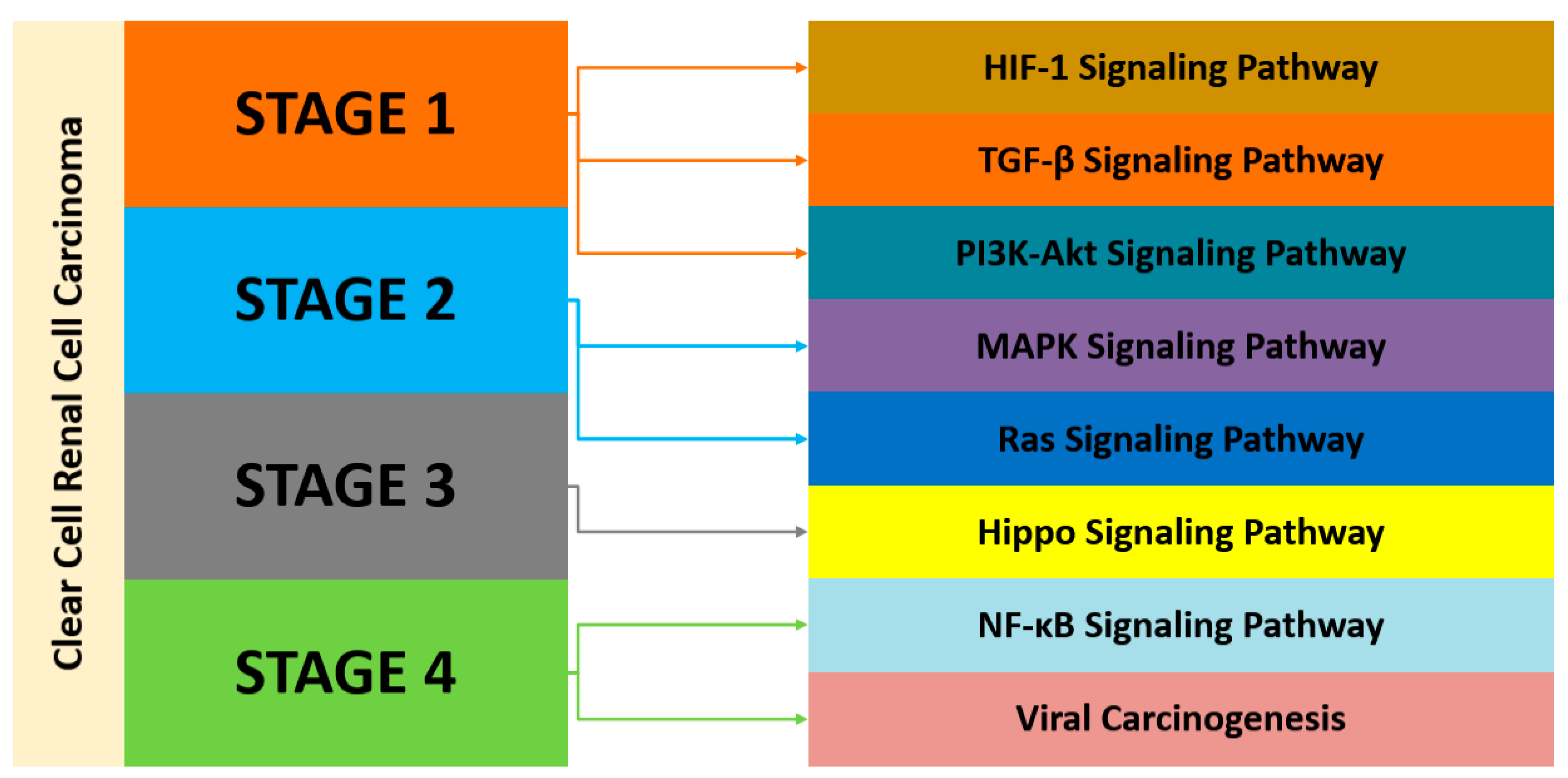 Applsci 14 08768 g010