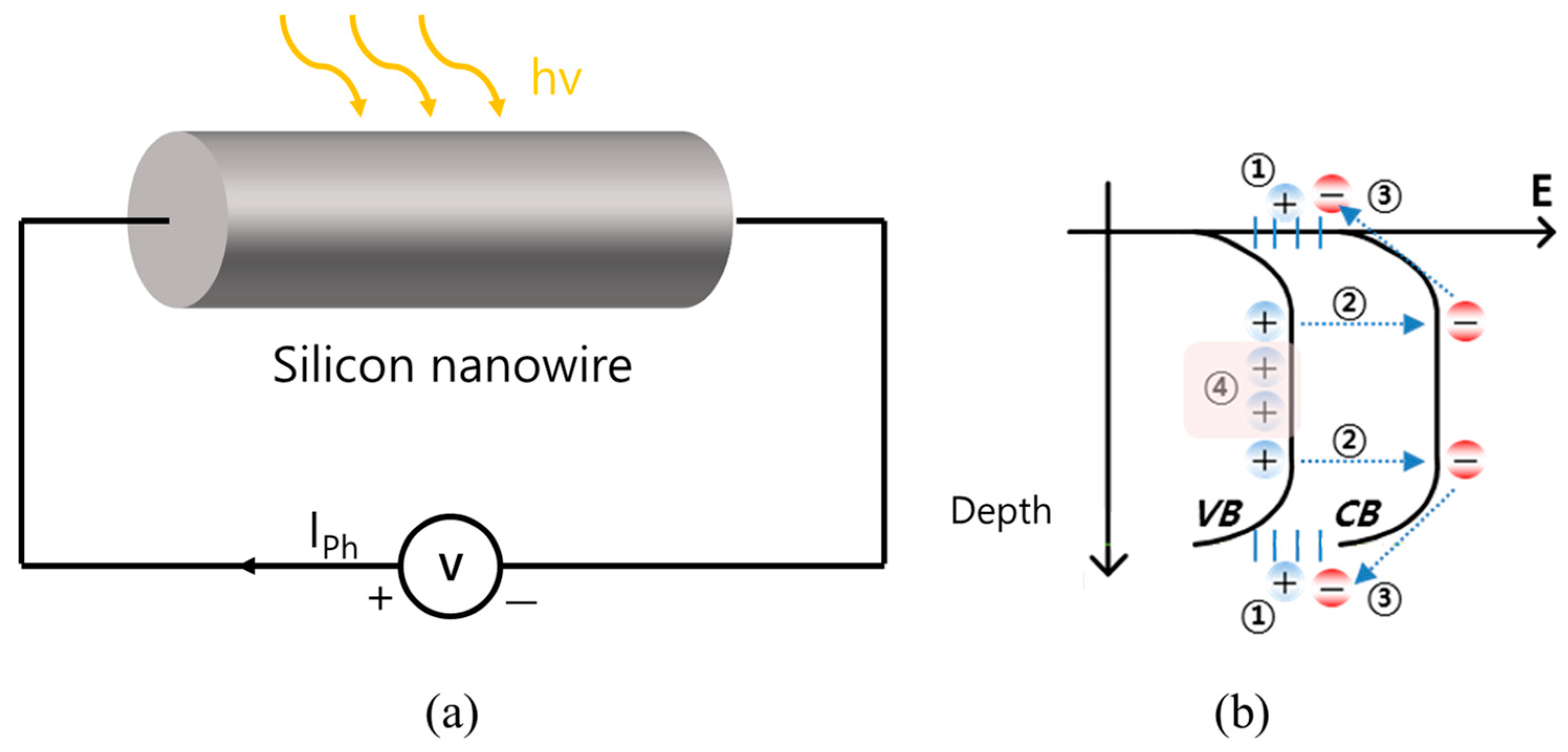 Applsci 14 08831 g002