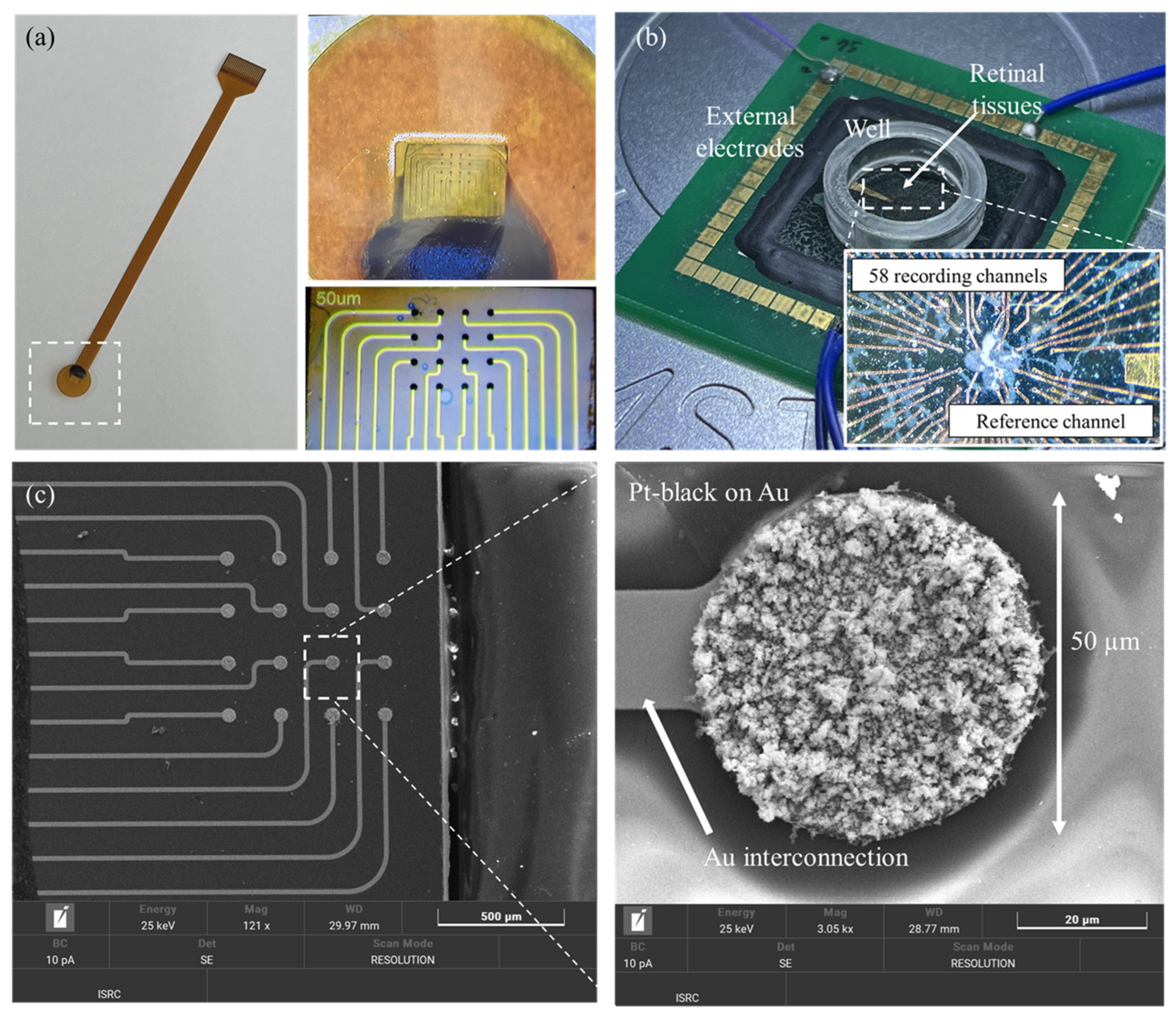 Applsci 14 08831 g012