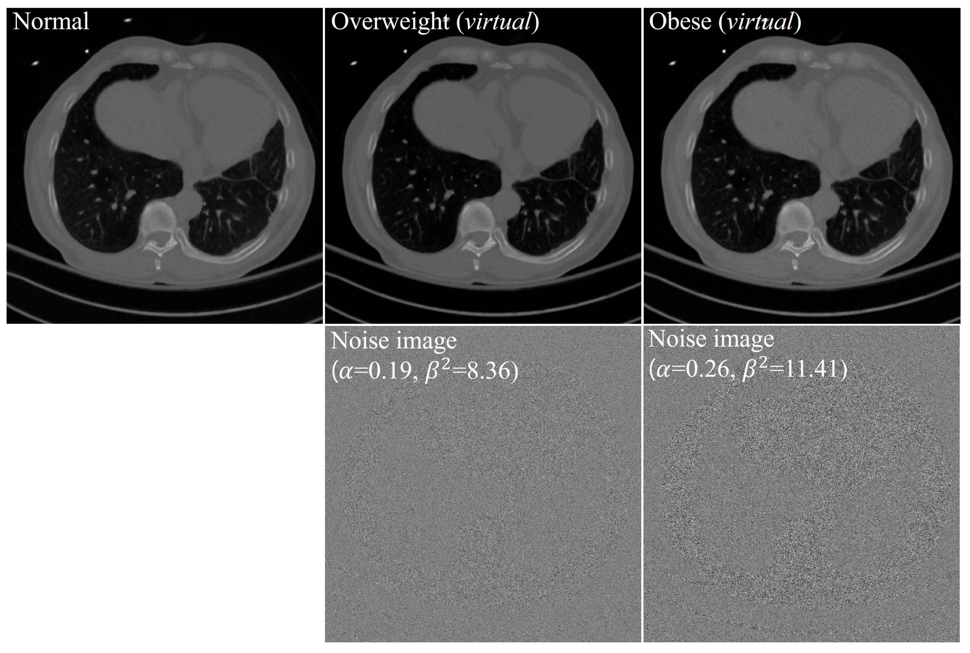 Applsci 14 08906 g001