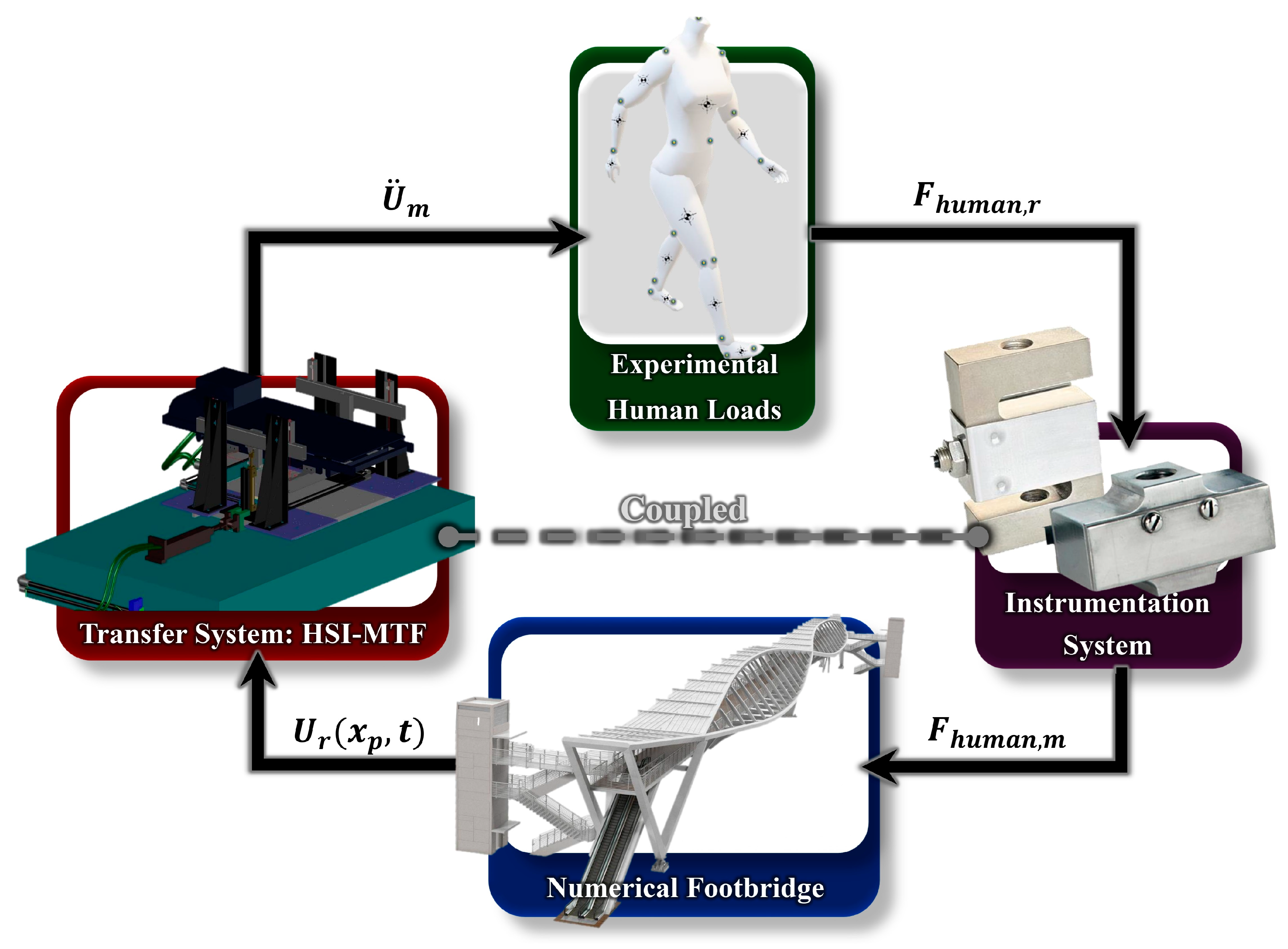 Applsci 14 08908 g004