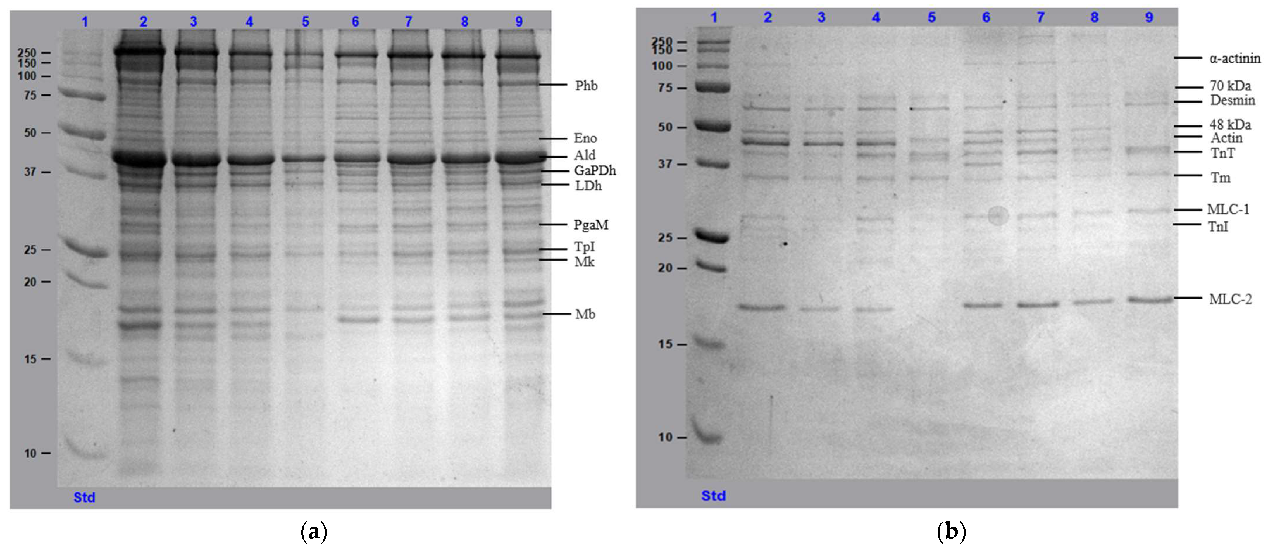 Applsci 14 08915 g002