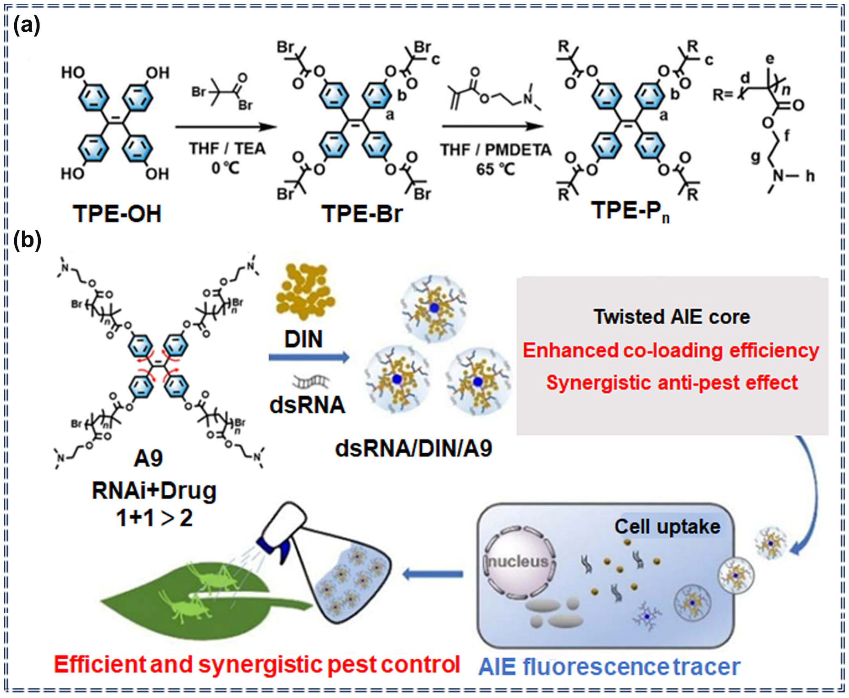 Applsci 14 08947 g009