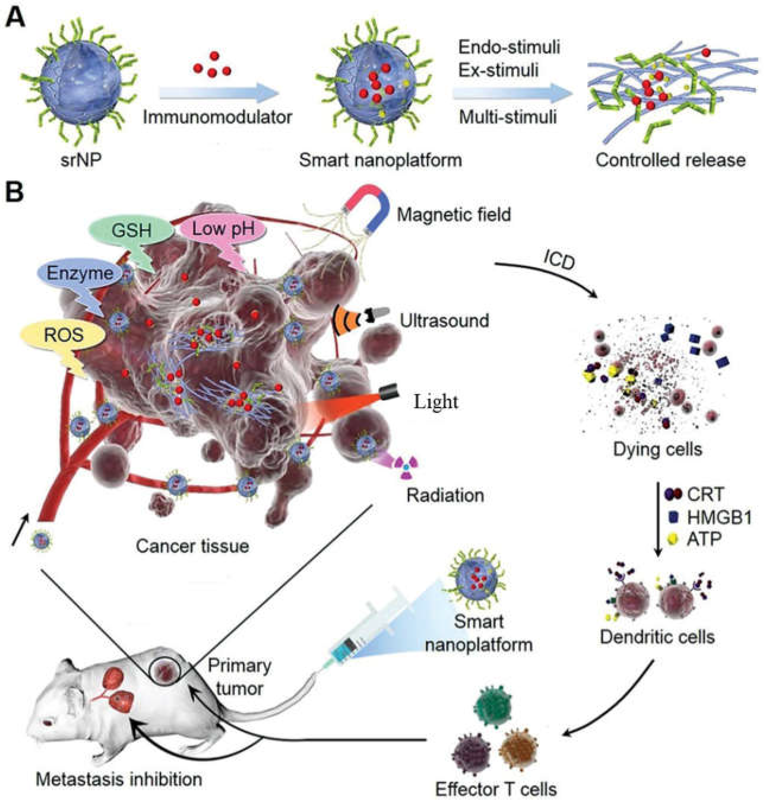 Applsci 14 08948 g003