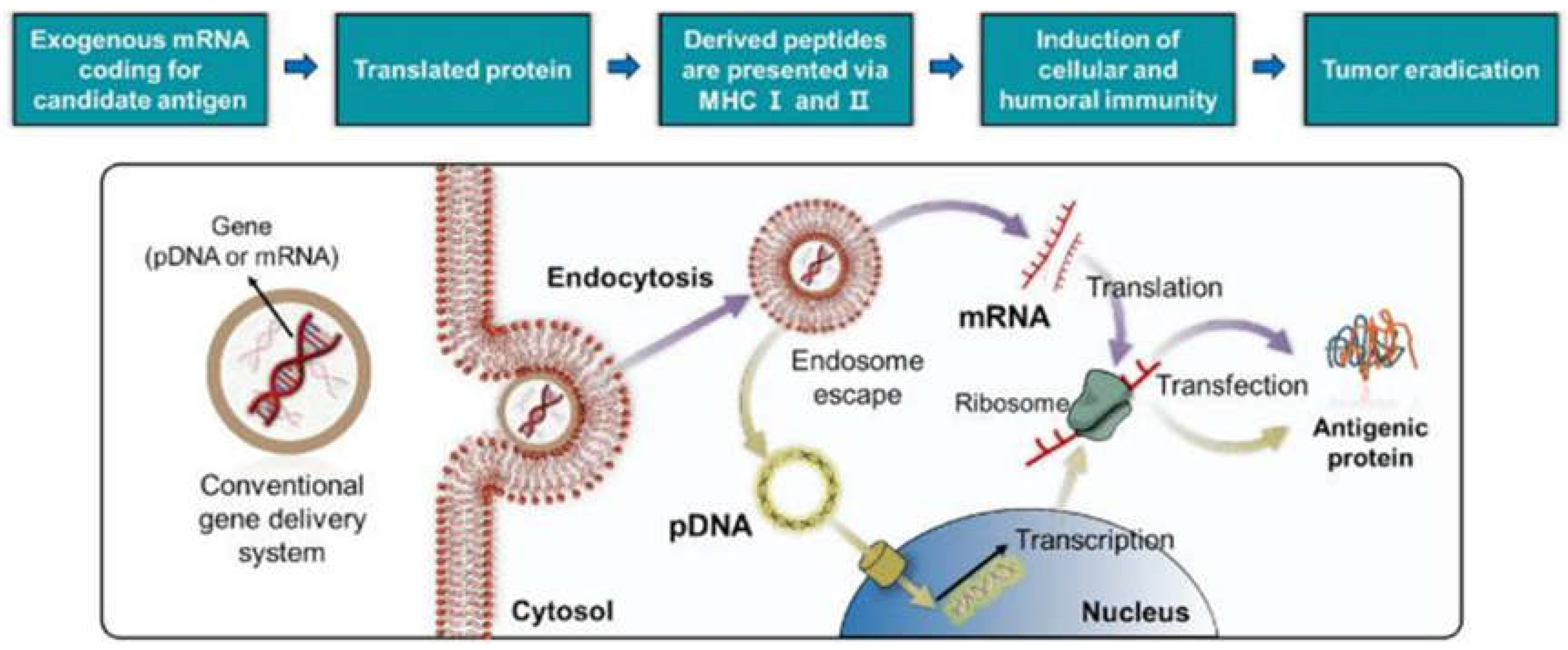 Applsci 14 08948 g005