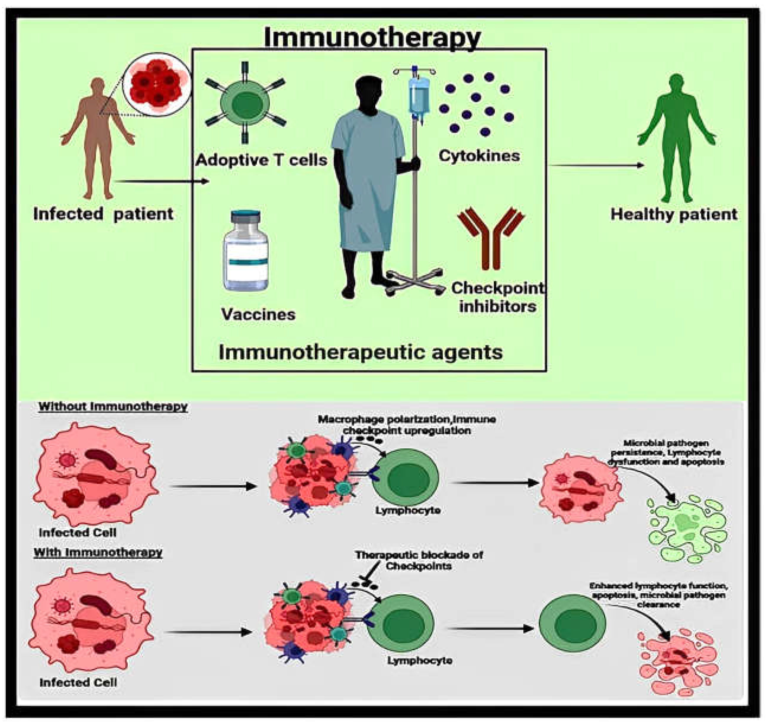 Applsci 14 08948 g006