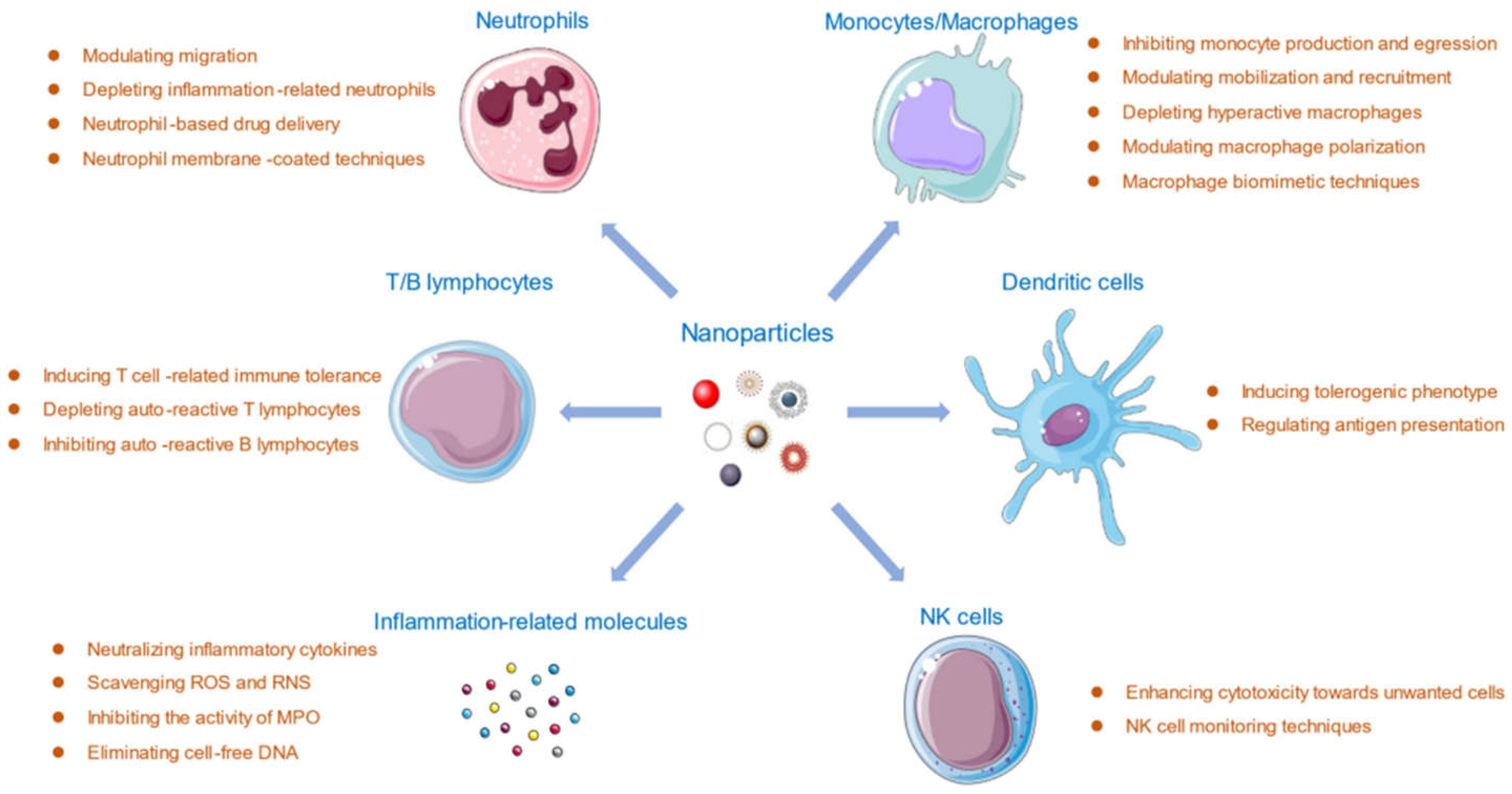 Applsci 14 08948 g008