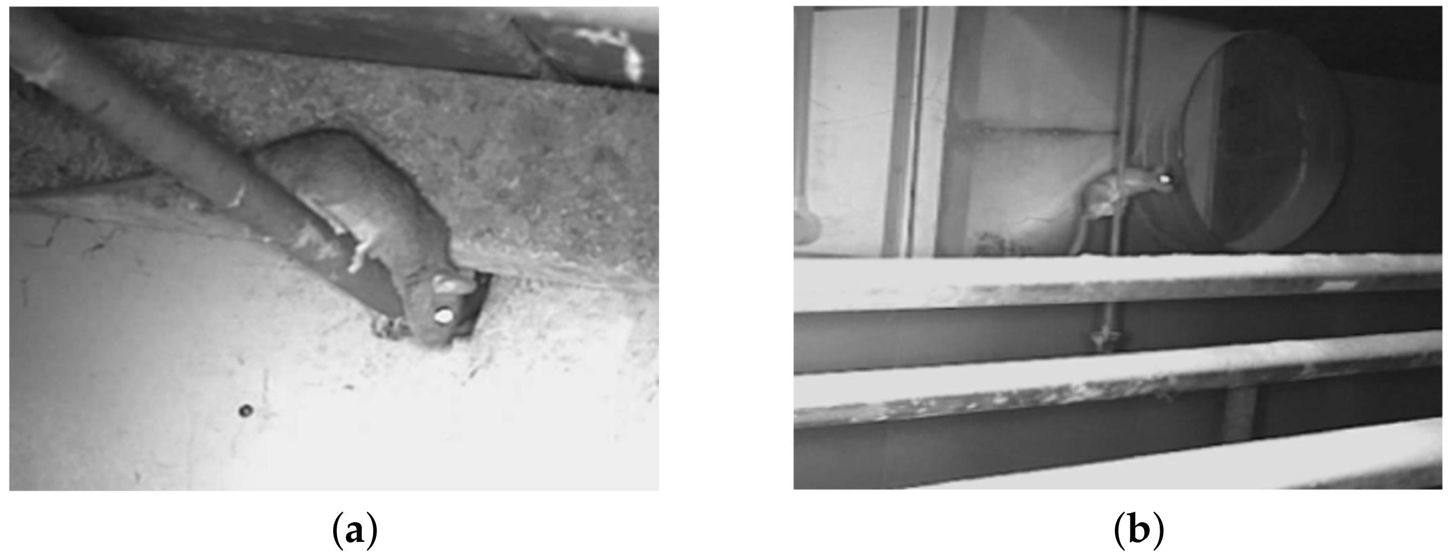 Applsci 14 08955 g018