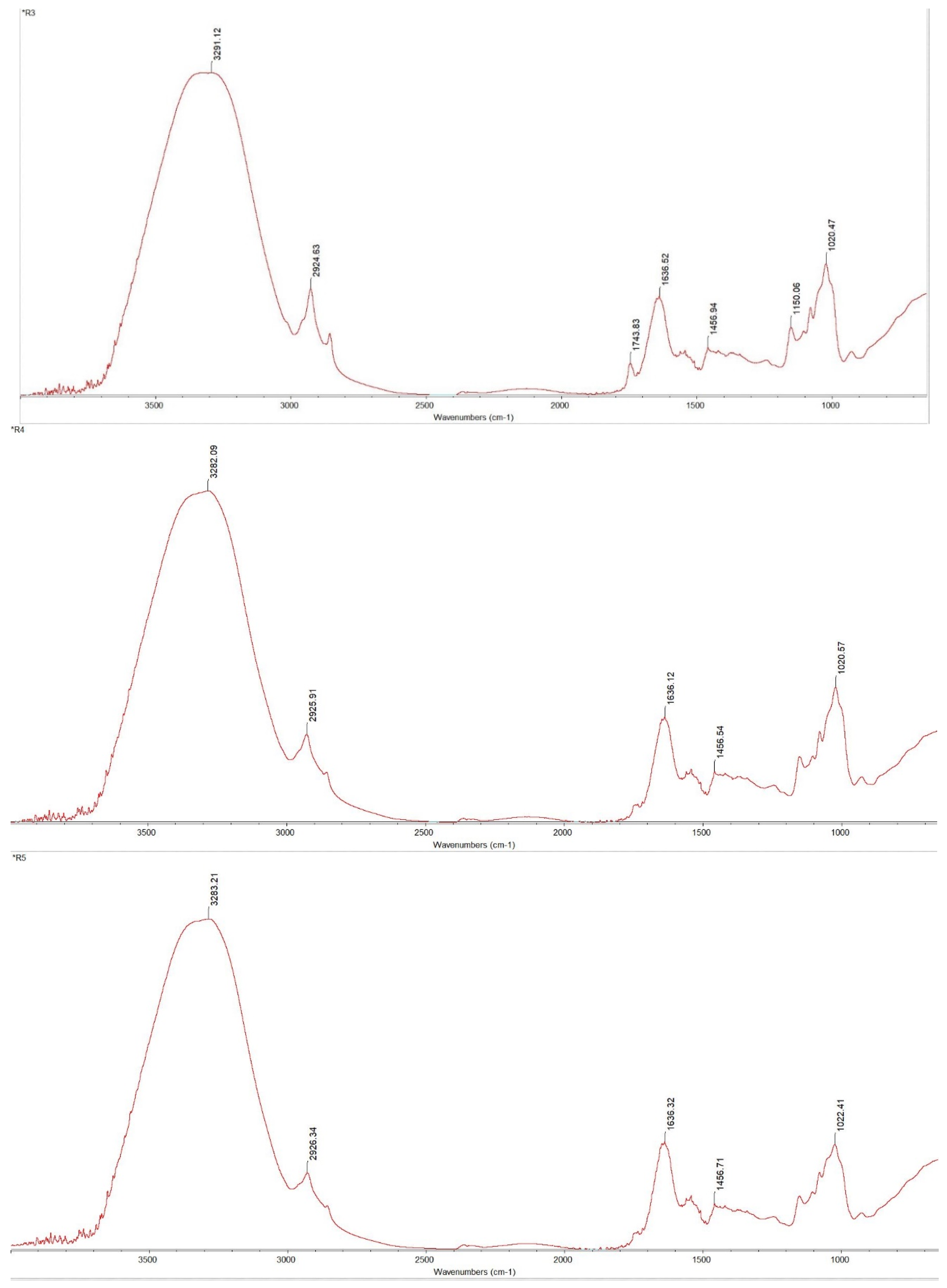 Applsci 14 09009 g009b Applsci 14 09009 g009b