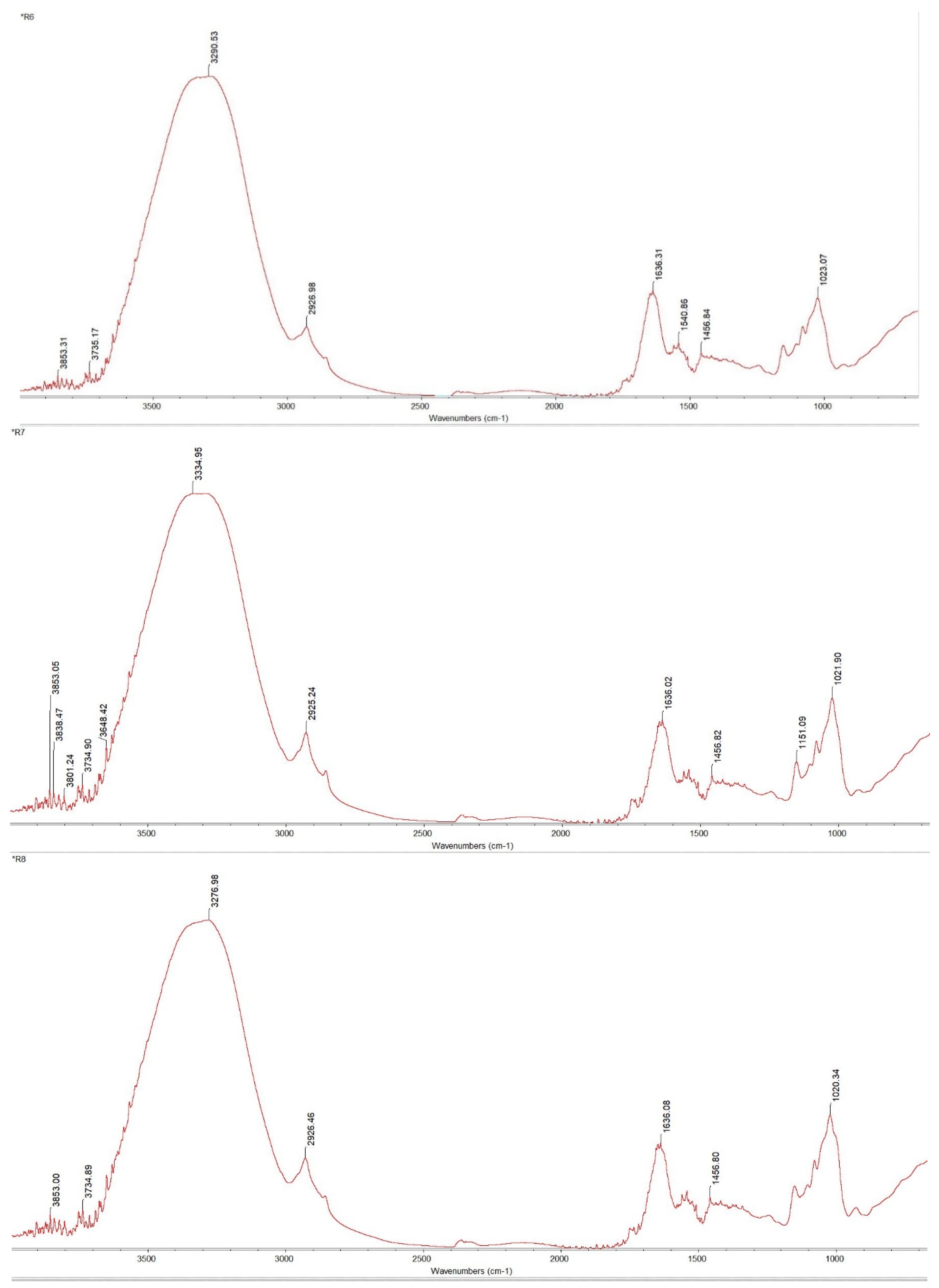 Applsci 14 09009 g009c Applsci 14 09009 g009c