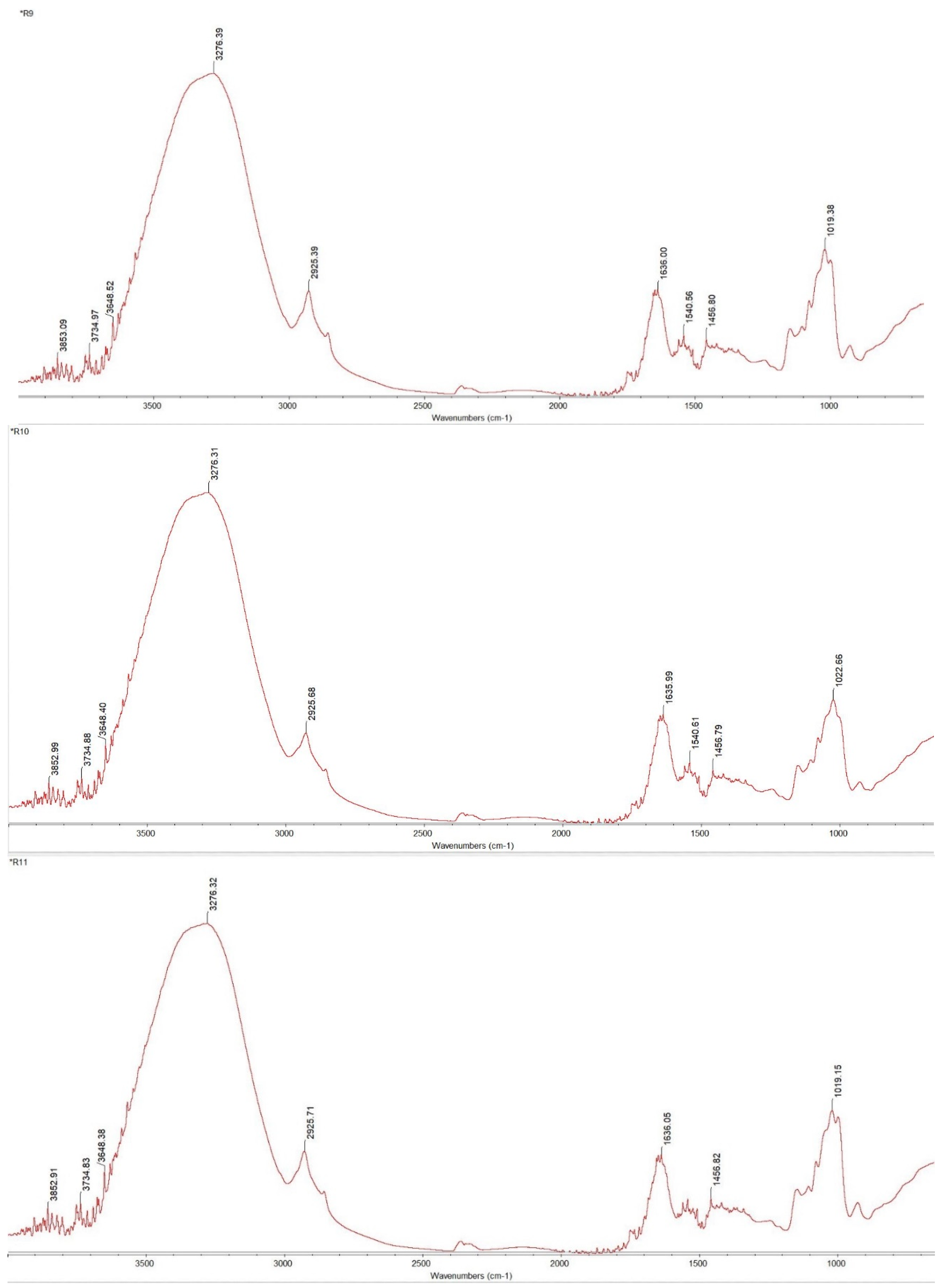 Applsci 14 09009 g009d Applsci 14 09009 g009d