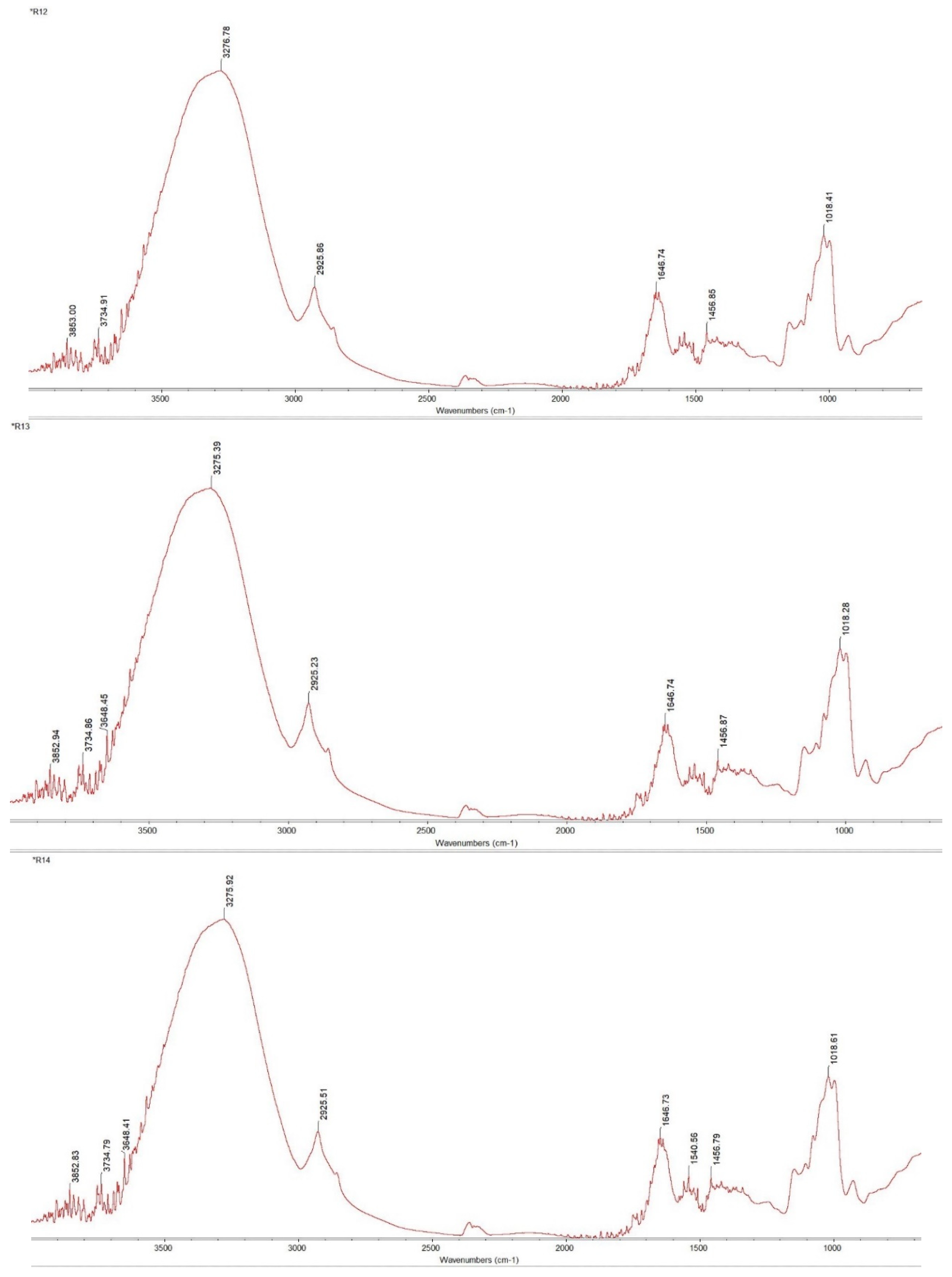 Applsci 14 09009 g009e Applsci 14 09009 g009e