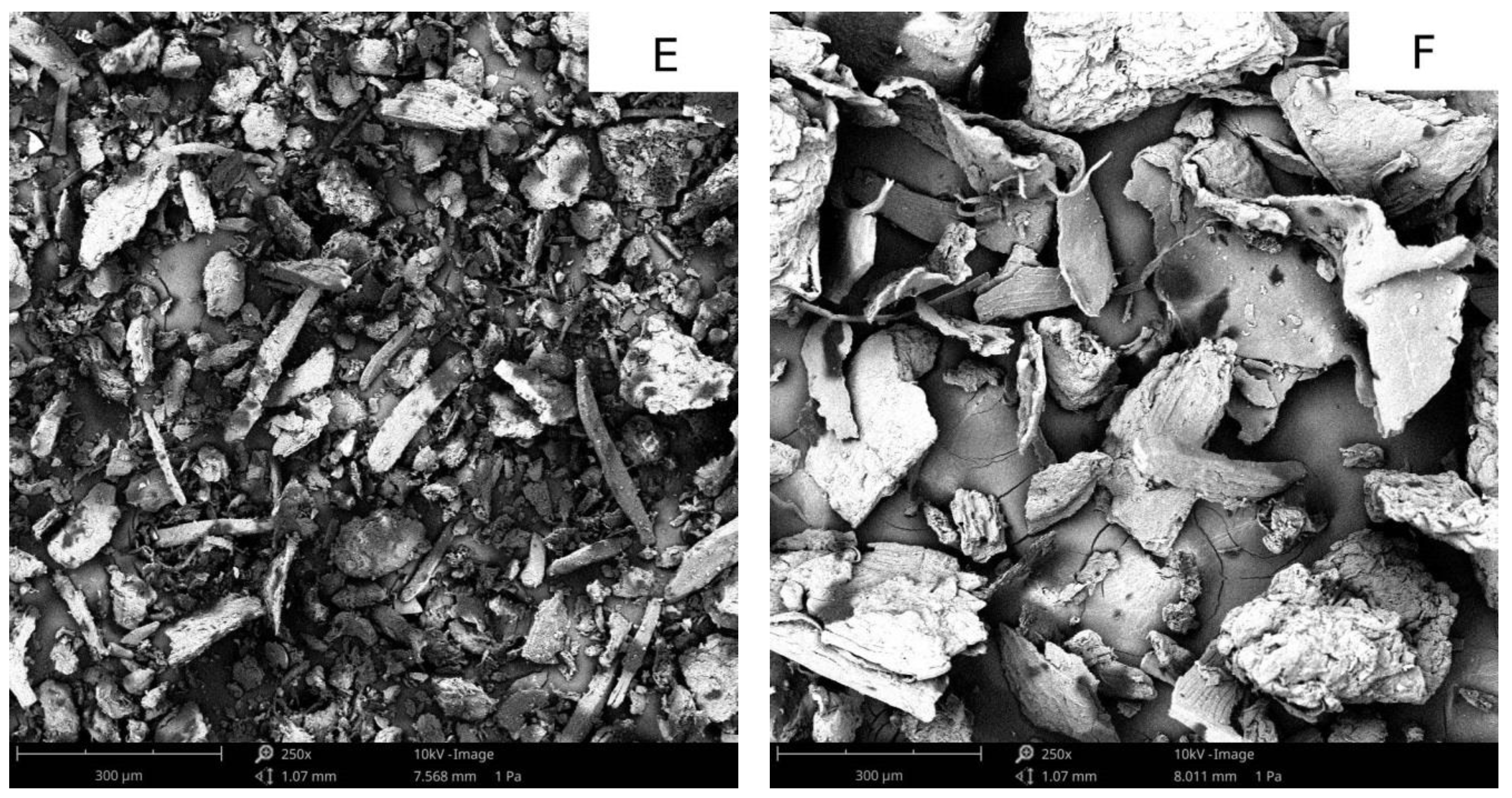 Applsci 14 09051 g010