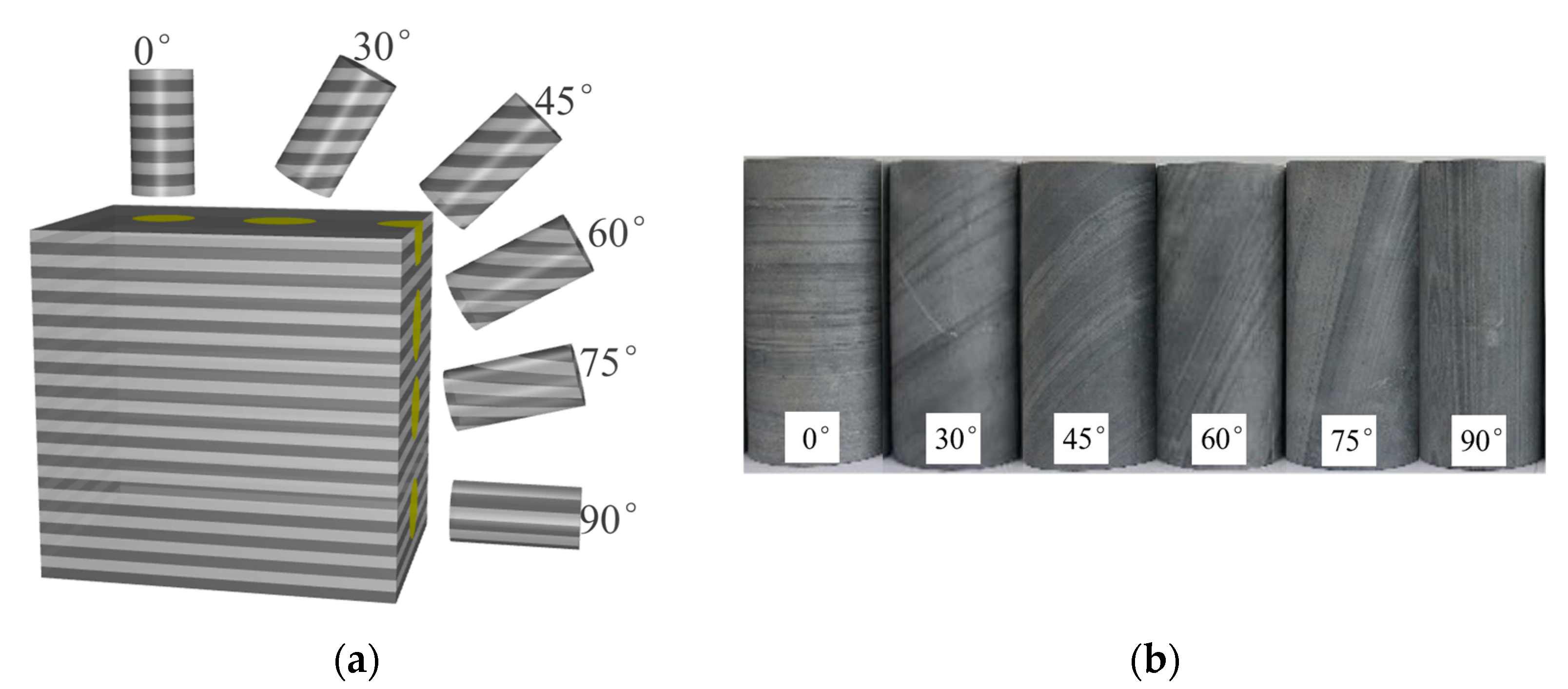 Applsci 14 09076 g001