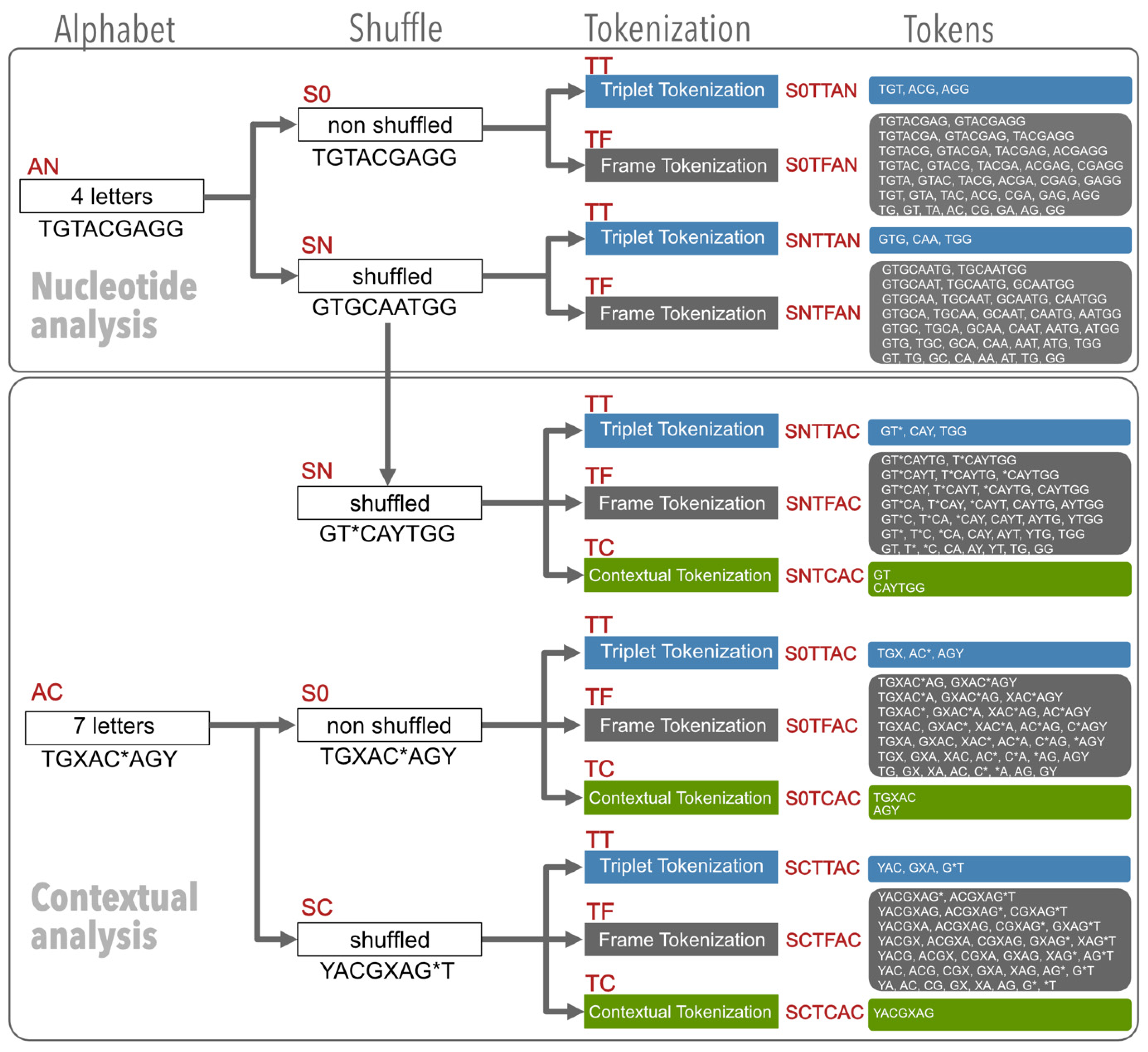 Applsci 14 09176 g001
