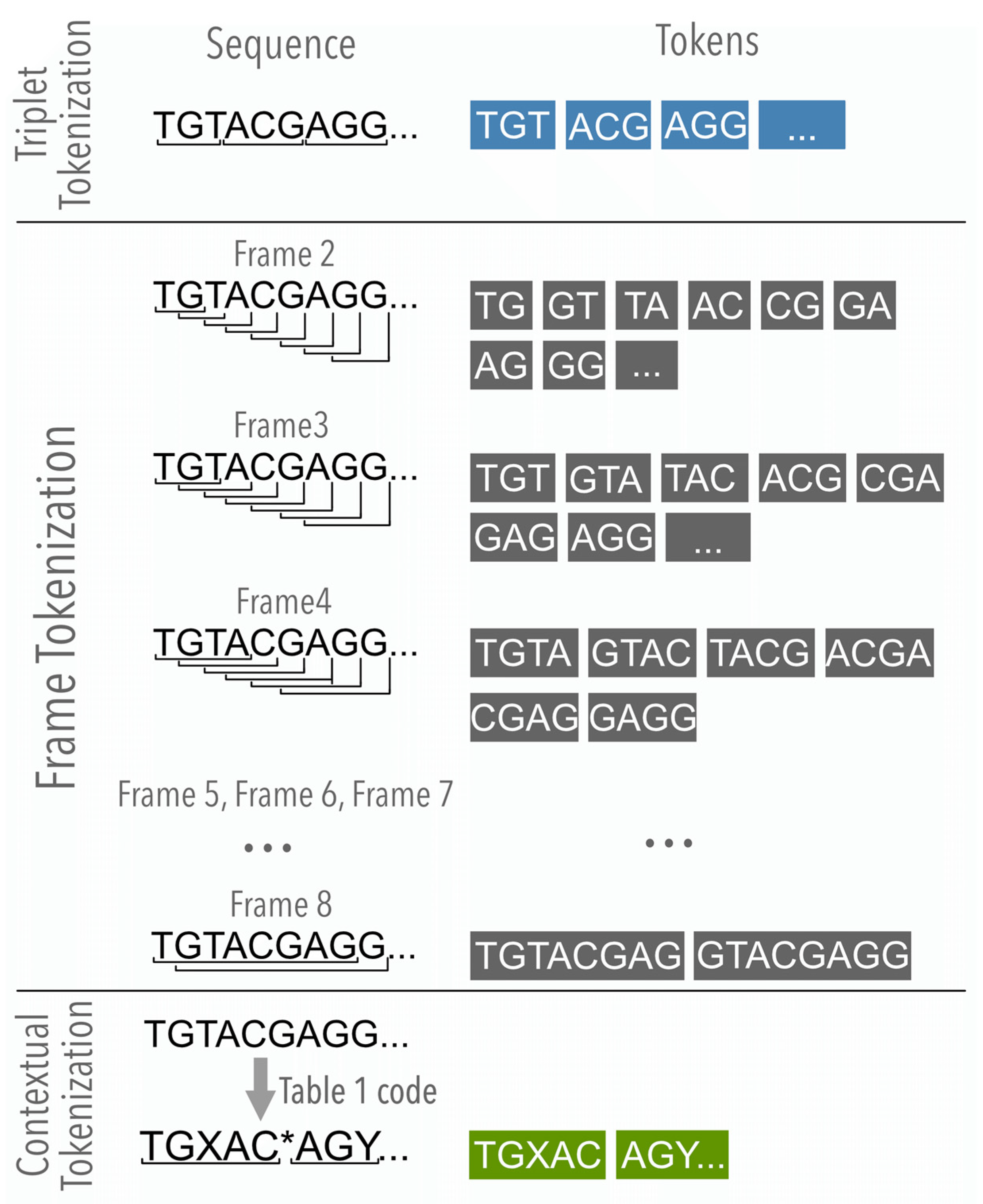 Applsci 14 09176 g002