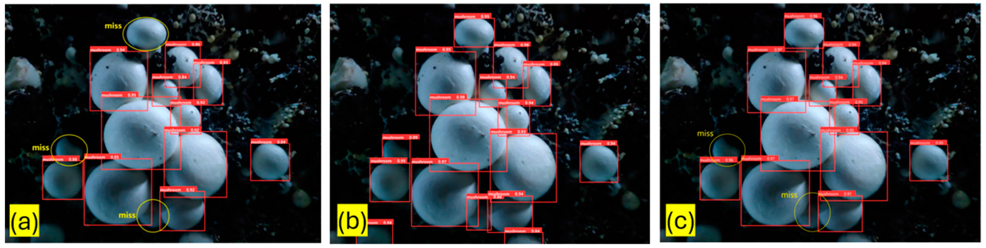 Applsci 14 09229 g007