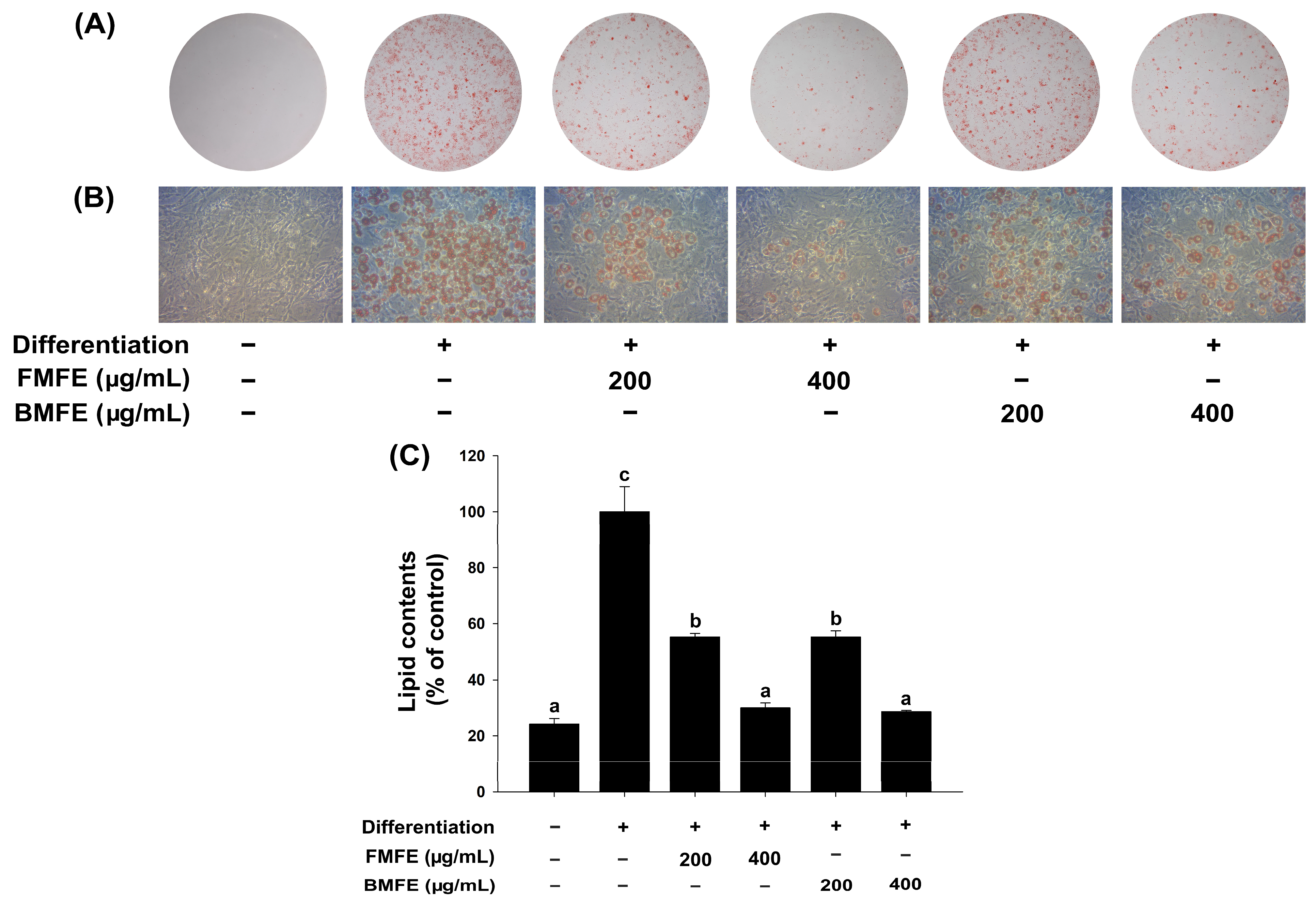 Applsci 14 09254 g002 Applsci 14 09254 g002