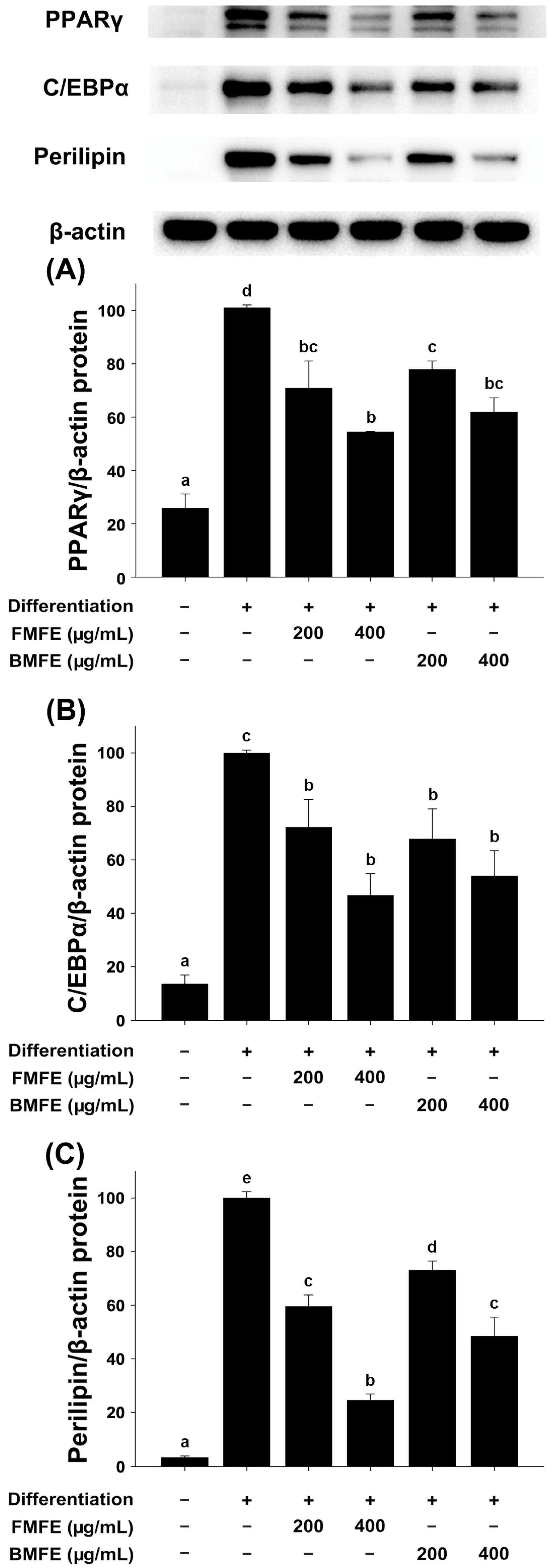 Applsci 14 09254 g004 Applsci 14 09254 g004