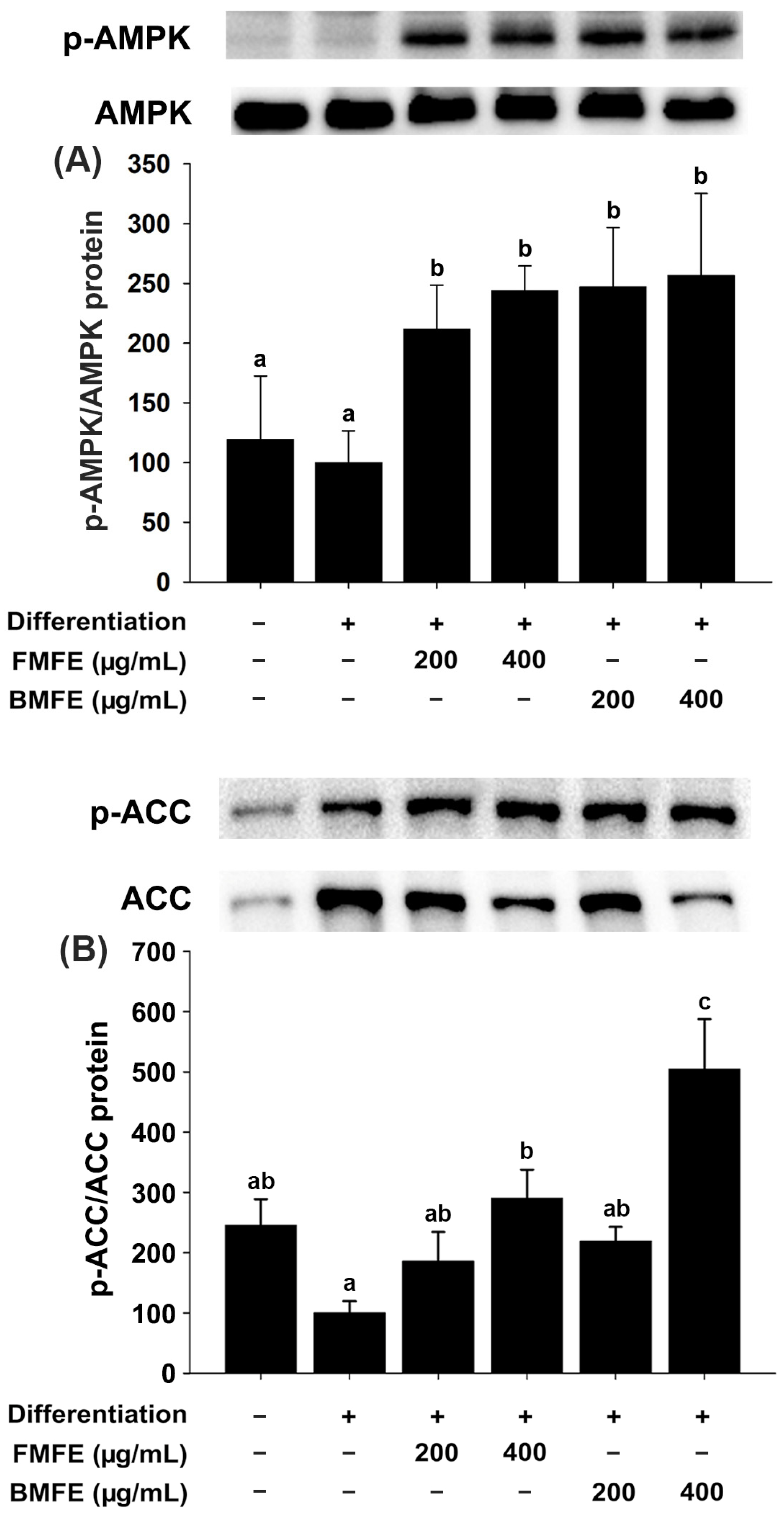 Applsci 14 09254 g005 Applsci 14 09254 g005