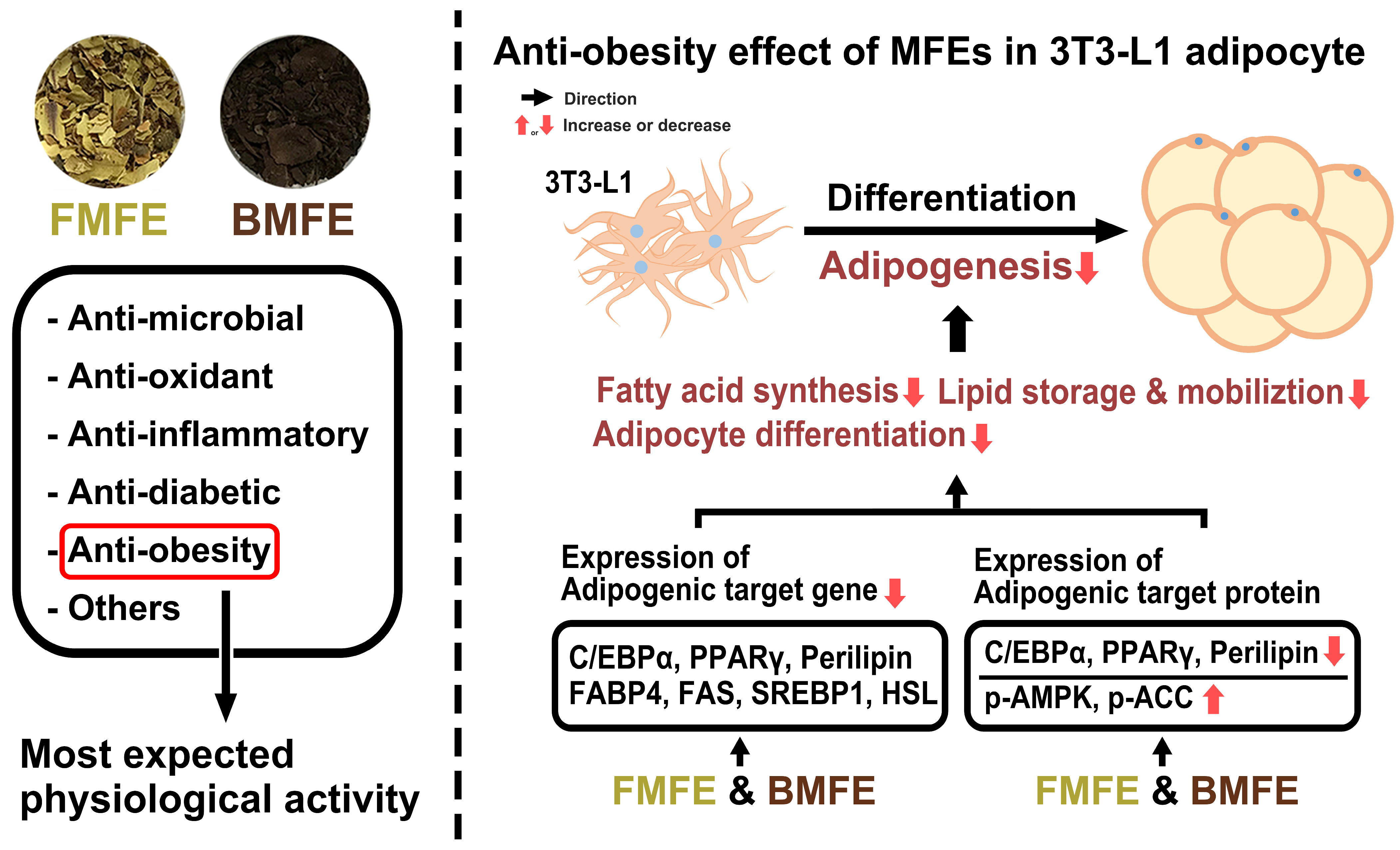 Applsci 14 09254 g006 Applsci 14 09254 g006