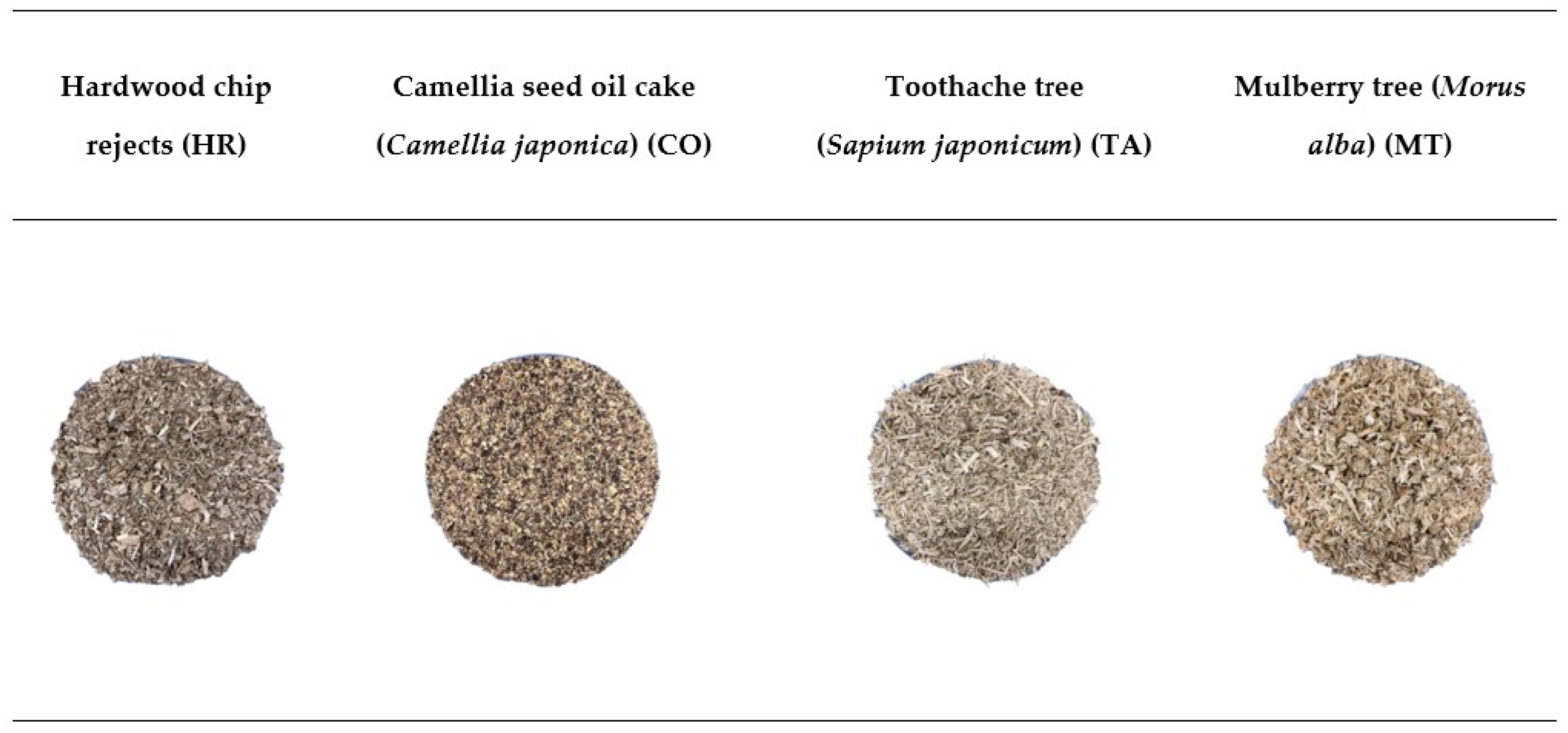 Applsci 14 09398 g001