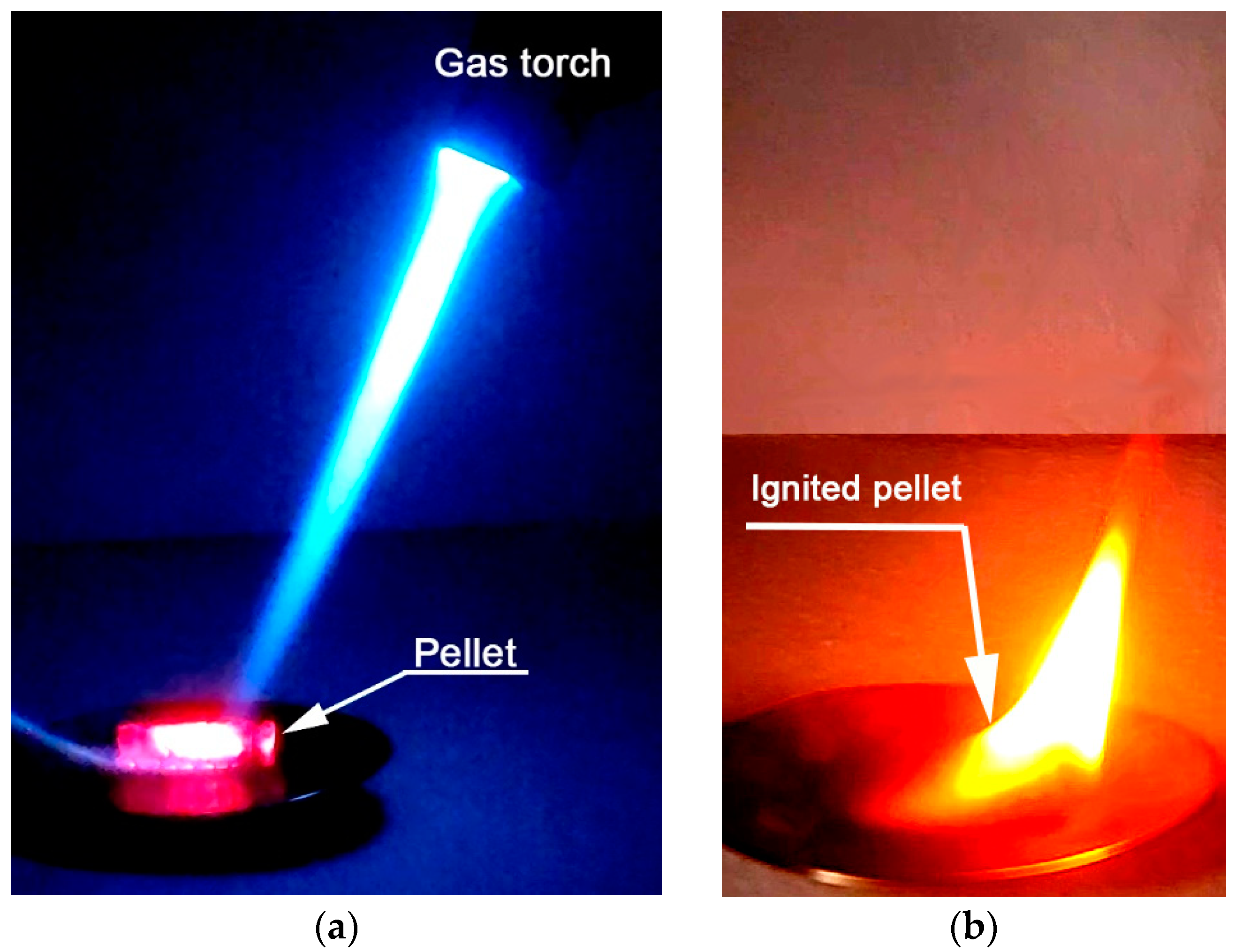 Applsci 14 09398 g004
