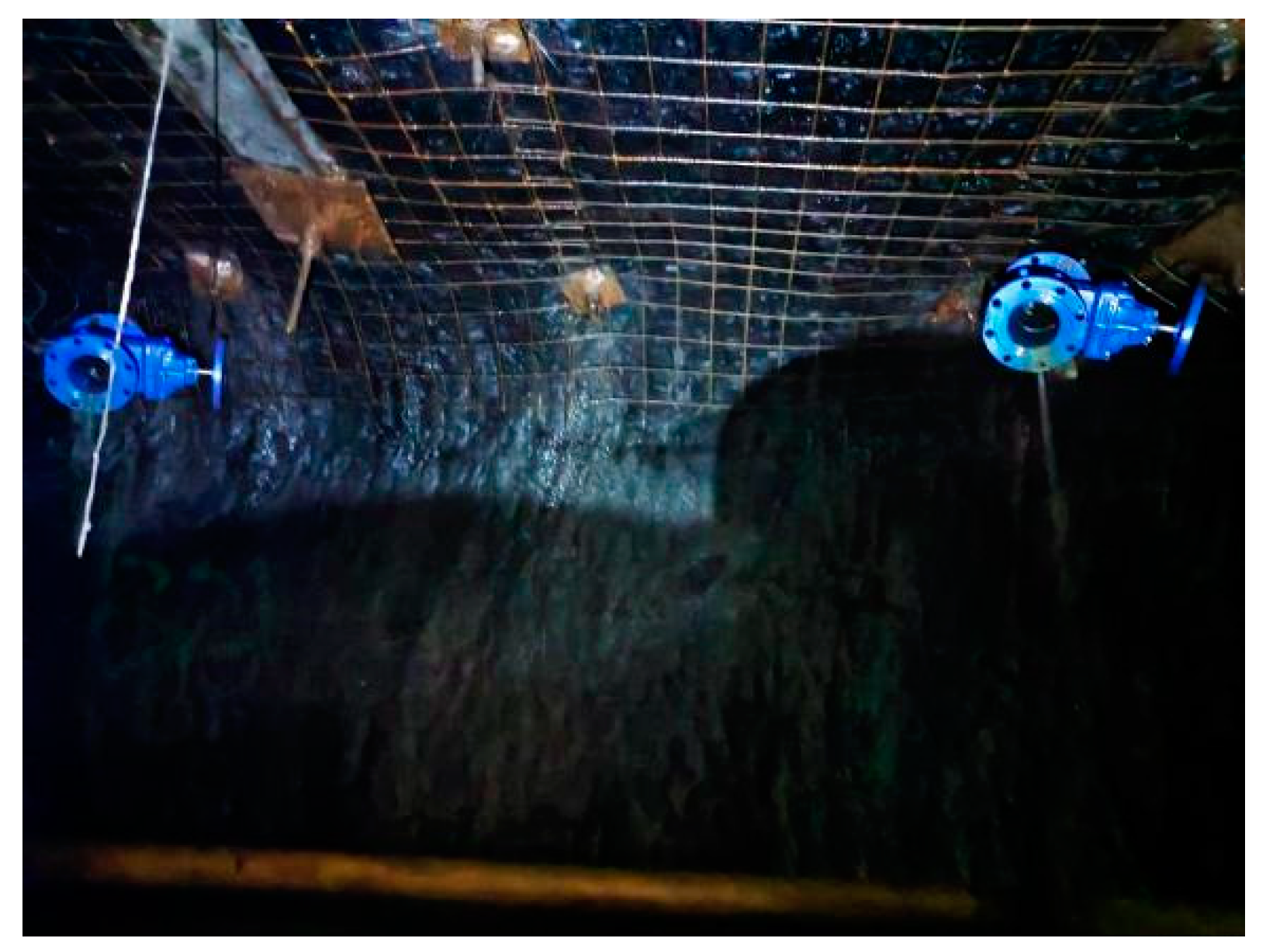 Applsci 14 09428 g011