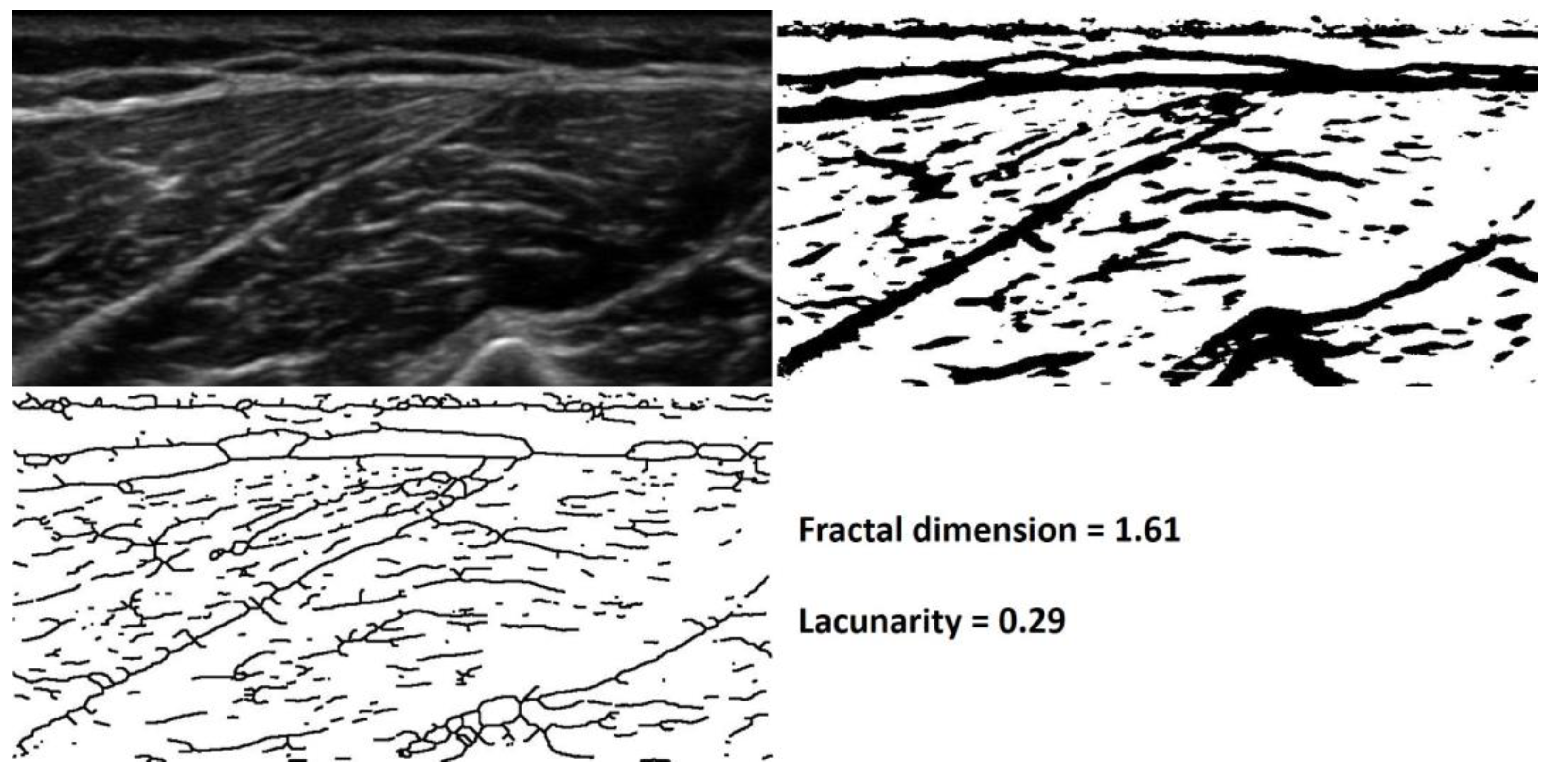 Applsci 14 09750 g003 Applsci 14 09750 g003