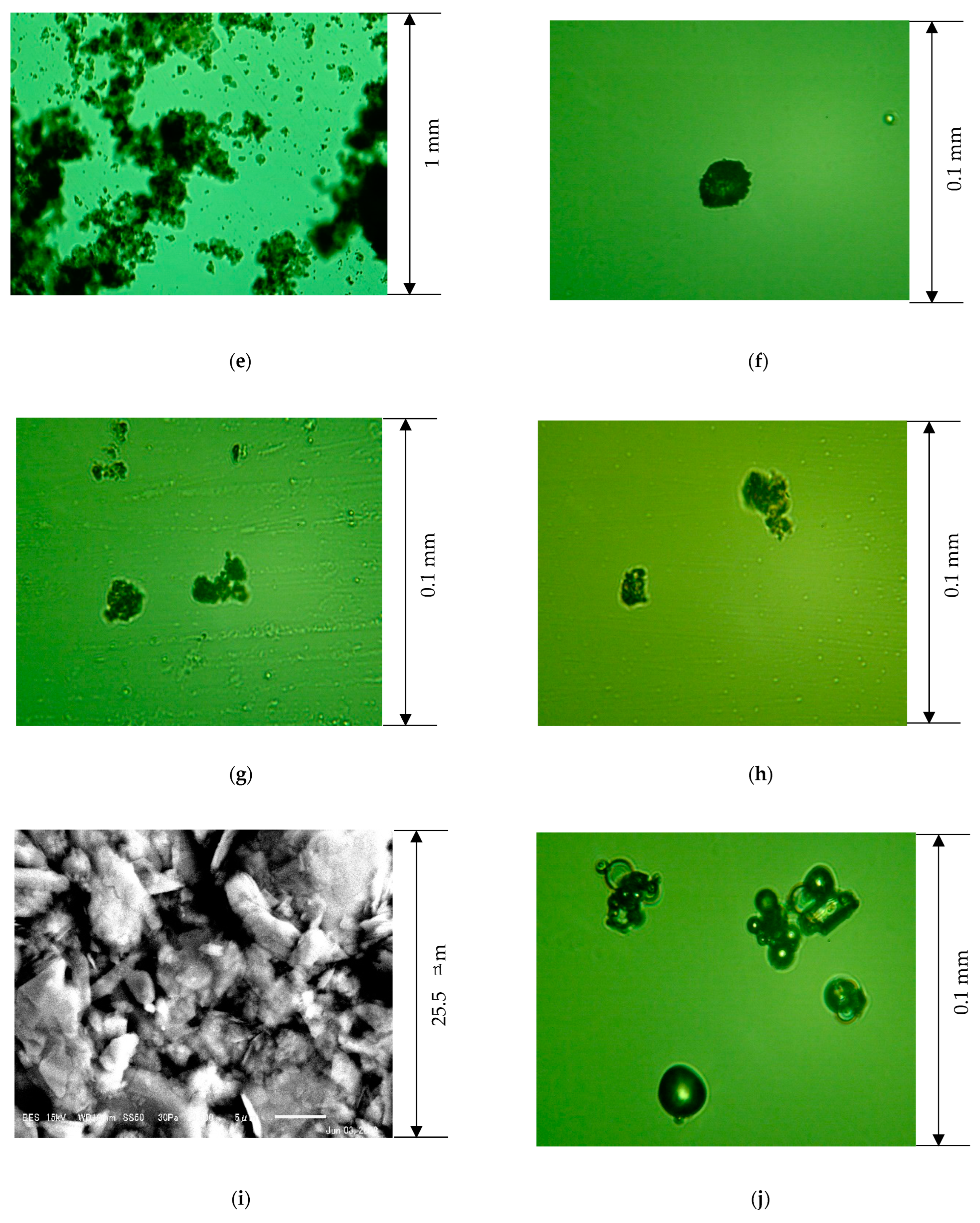 Applsci 14 09765 g001b