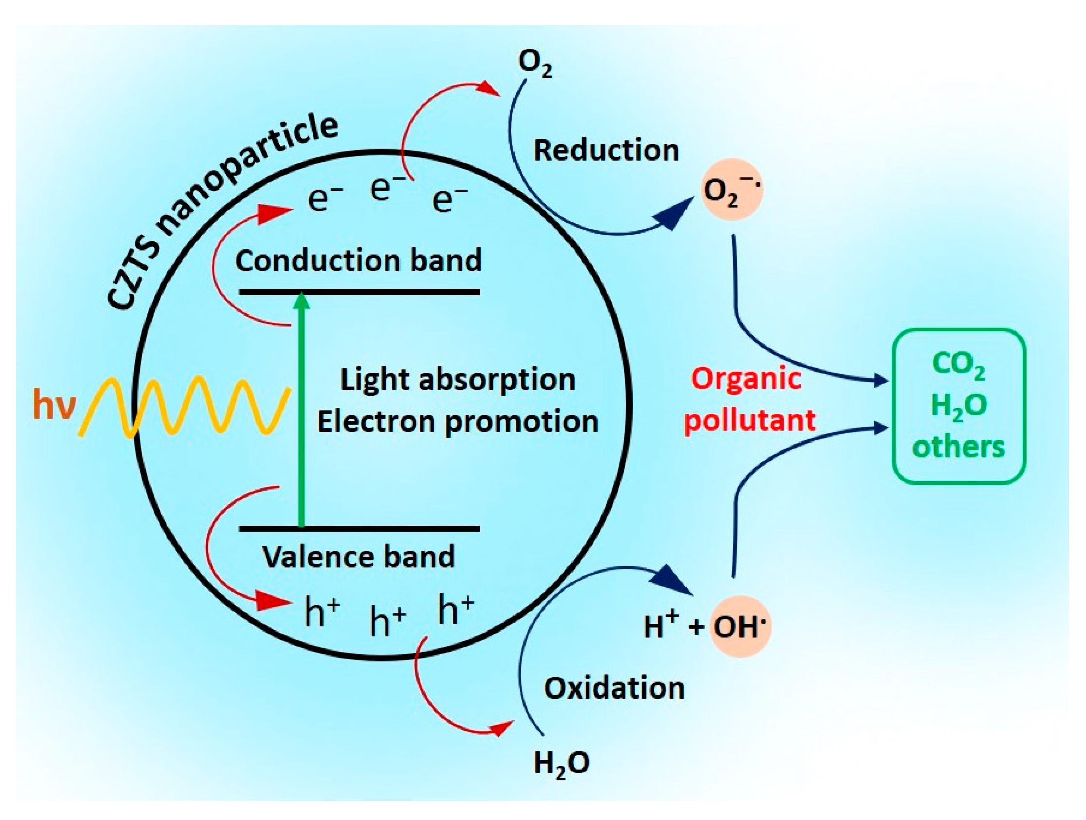 Applsci 14 09923 g012