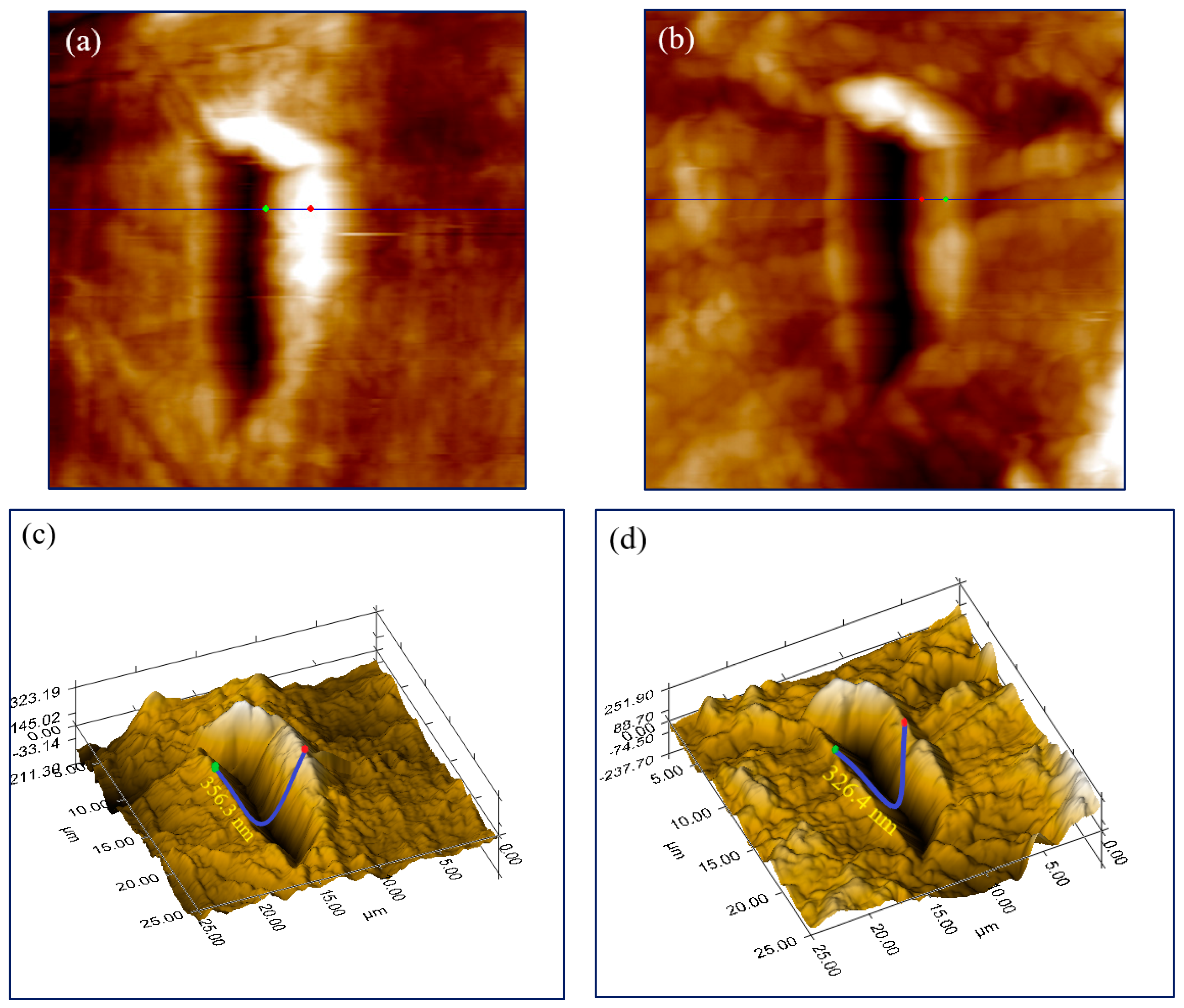 Applsci 14 09961 g004