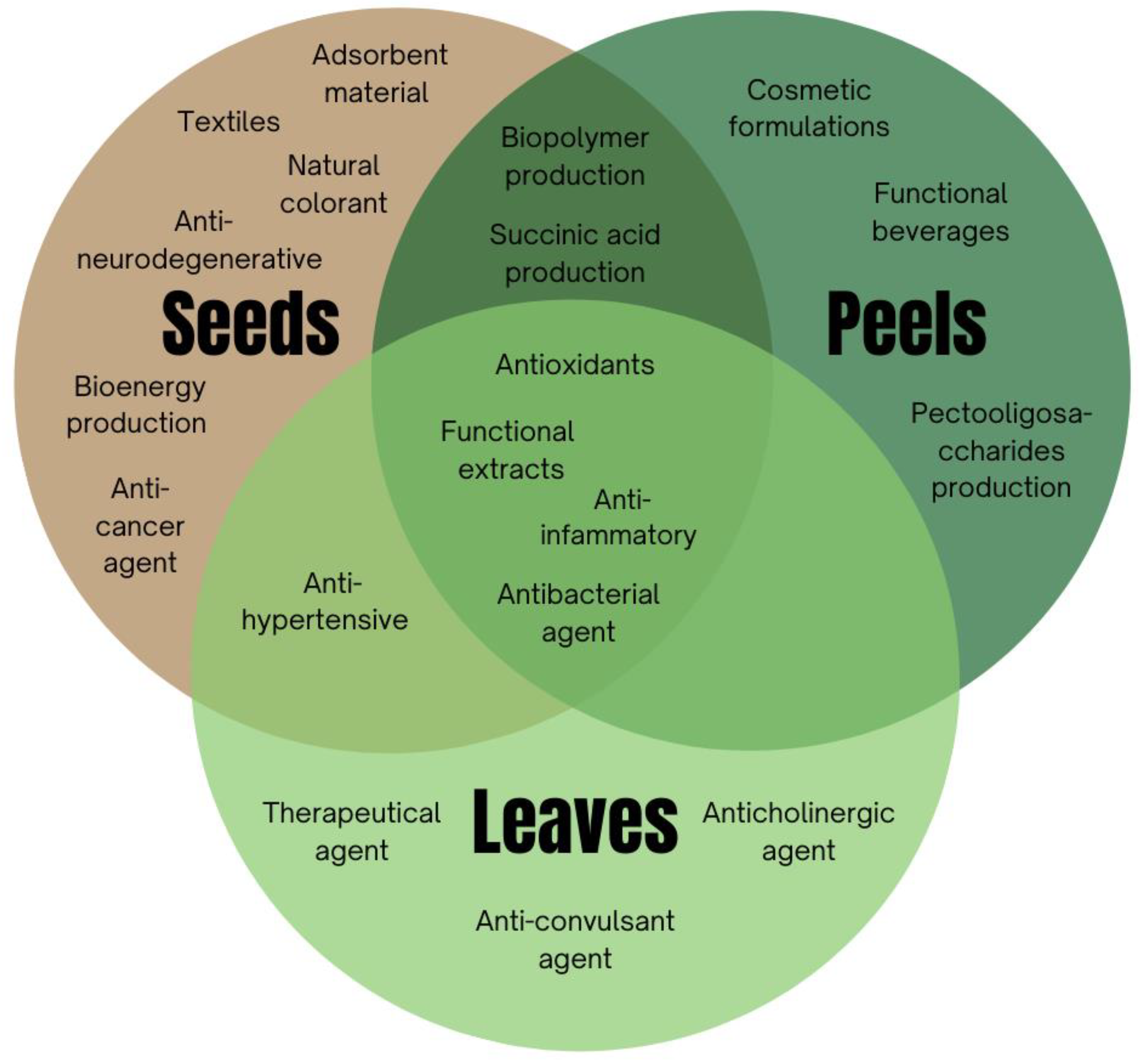 Applsci 14 10070 g001